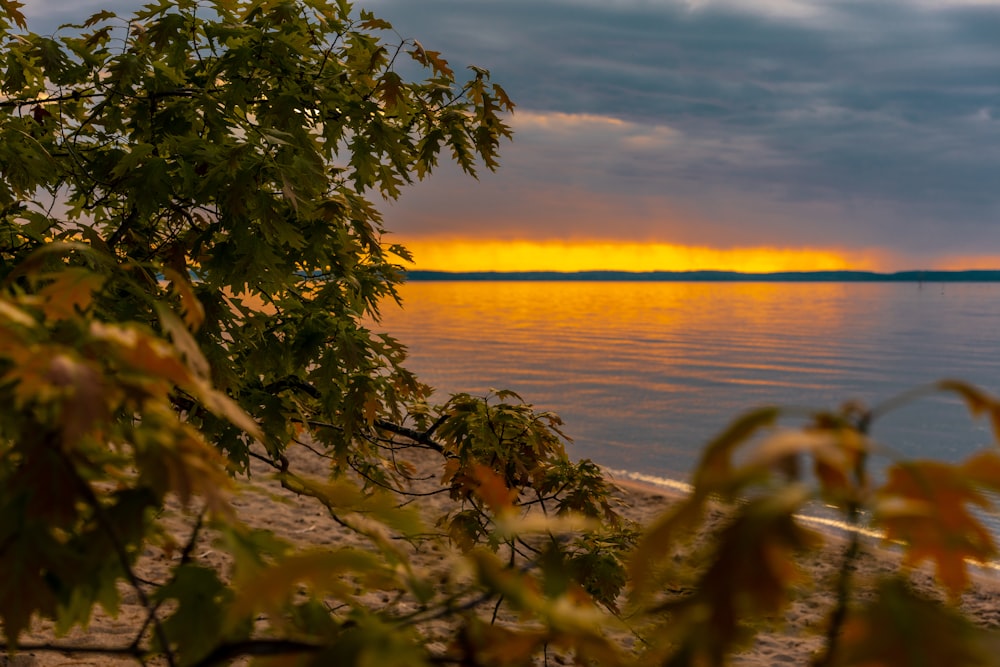 the sun is setting over the water on the beach