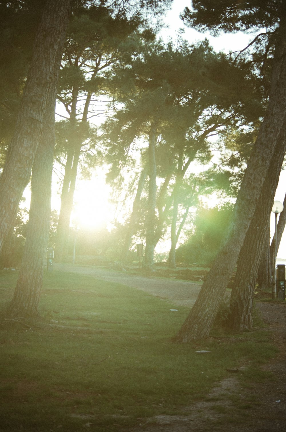 the sun is shining through the trees in the park