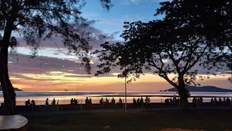 Sunset view of a lively beach crowd dancing near the ocean with colorful festival lights.