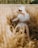 a woman sitting in a field of tall grass