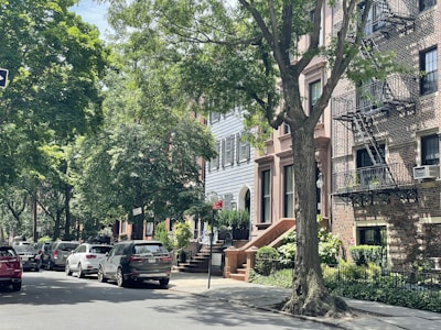 Urban neighborhood street with trees and parked cars