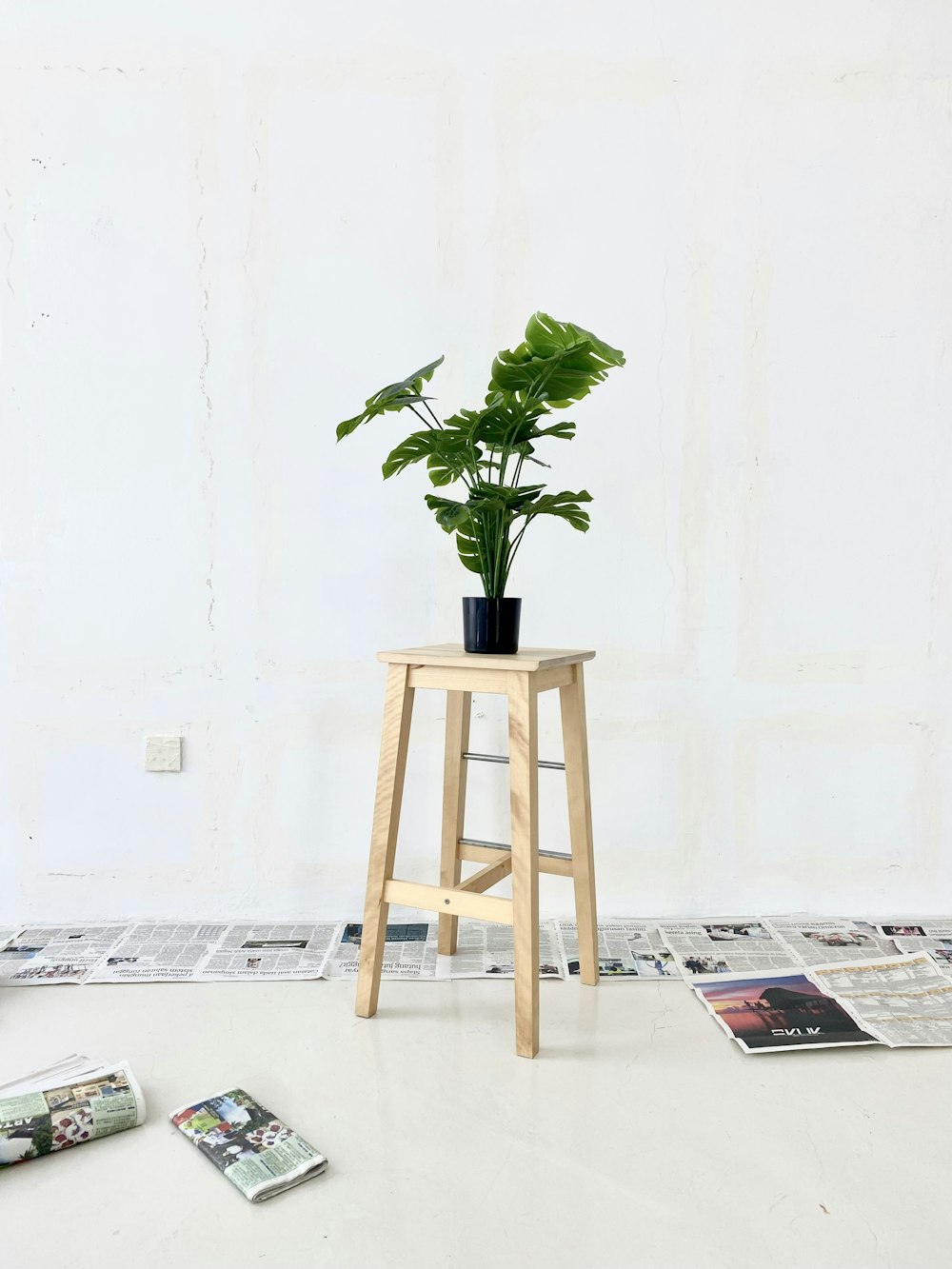 a potted plant sitting on top of a wooden stool