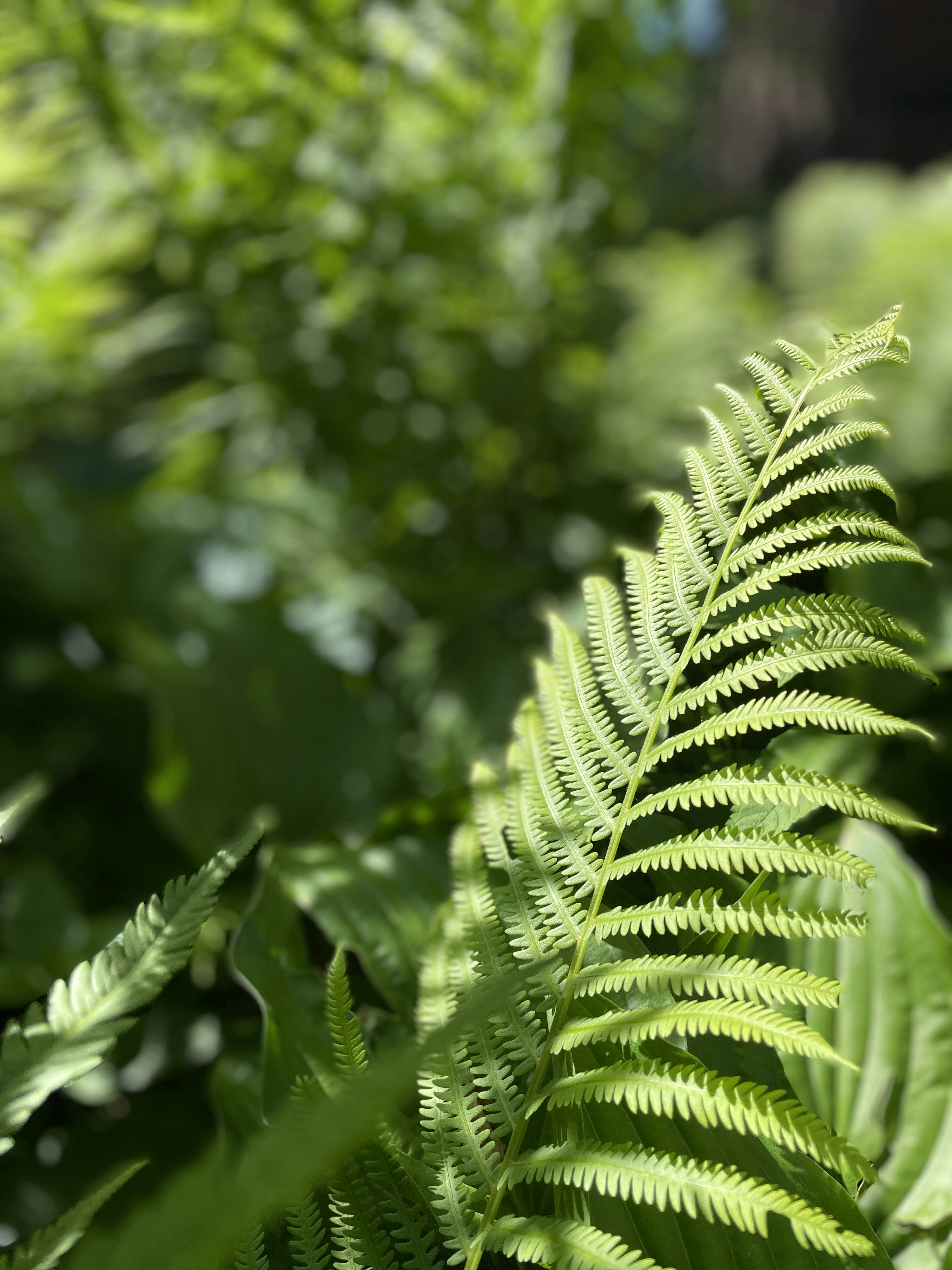 Photo by hecticaesthetic