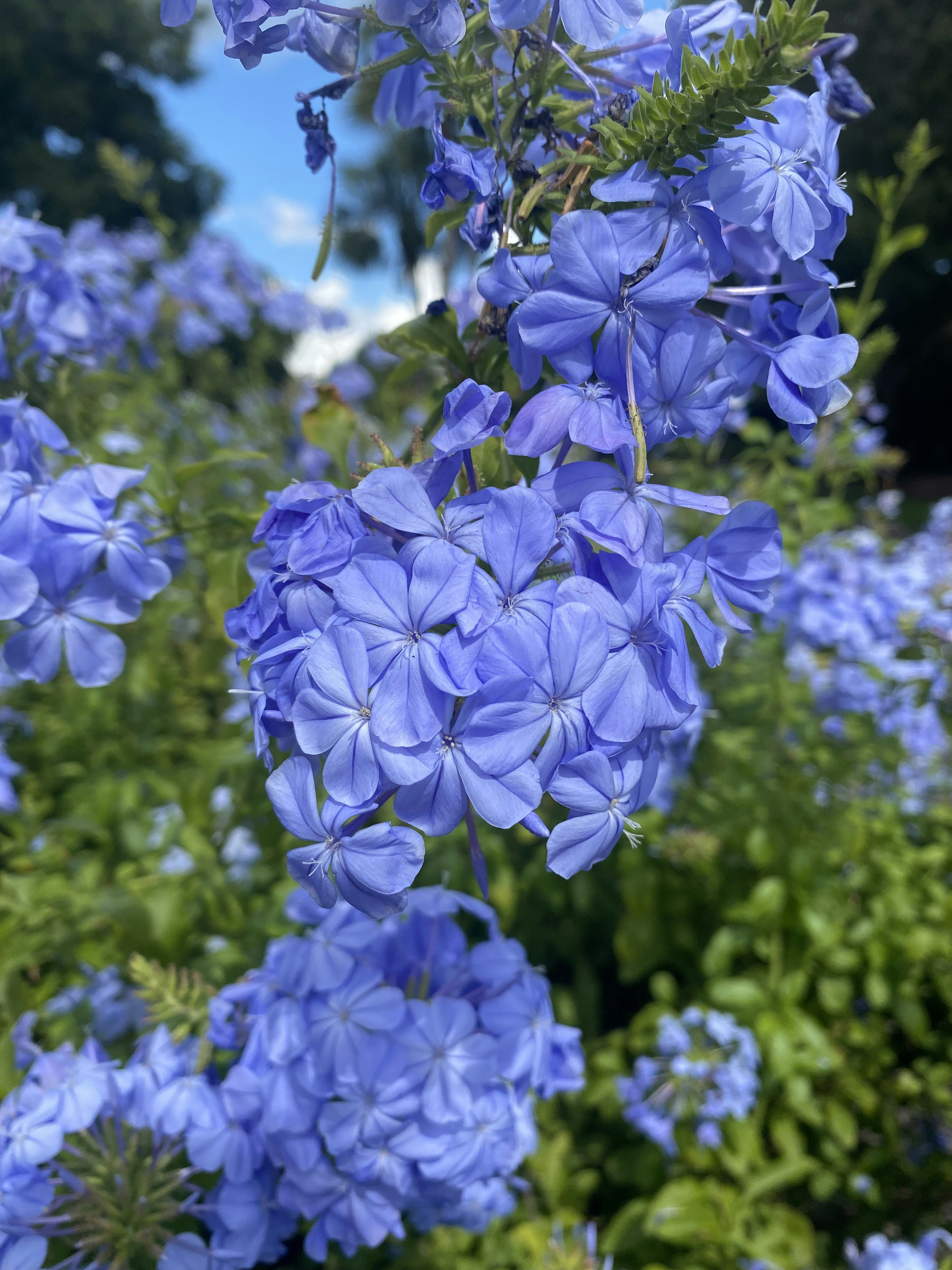 Photo by 7angles_photography