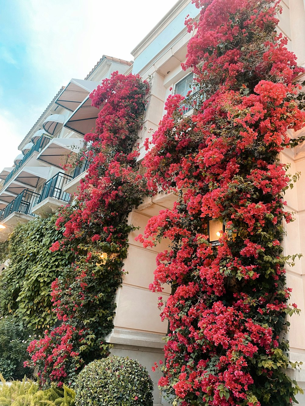 un bâtiment avec un bouquet de fleurs rouges dessus