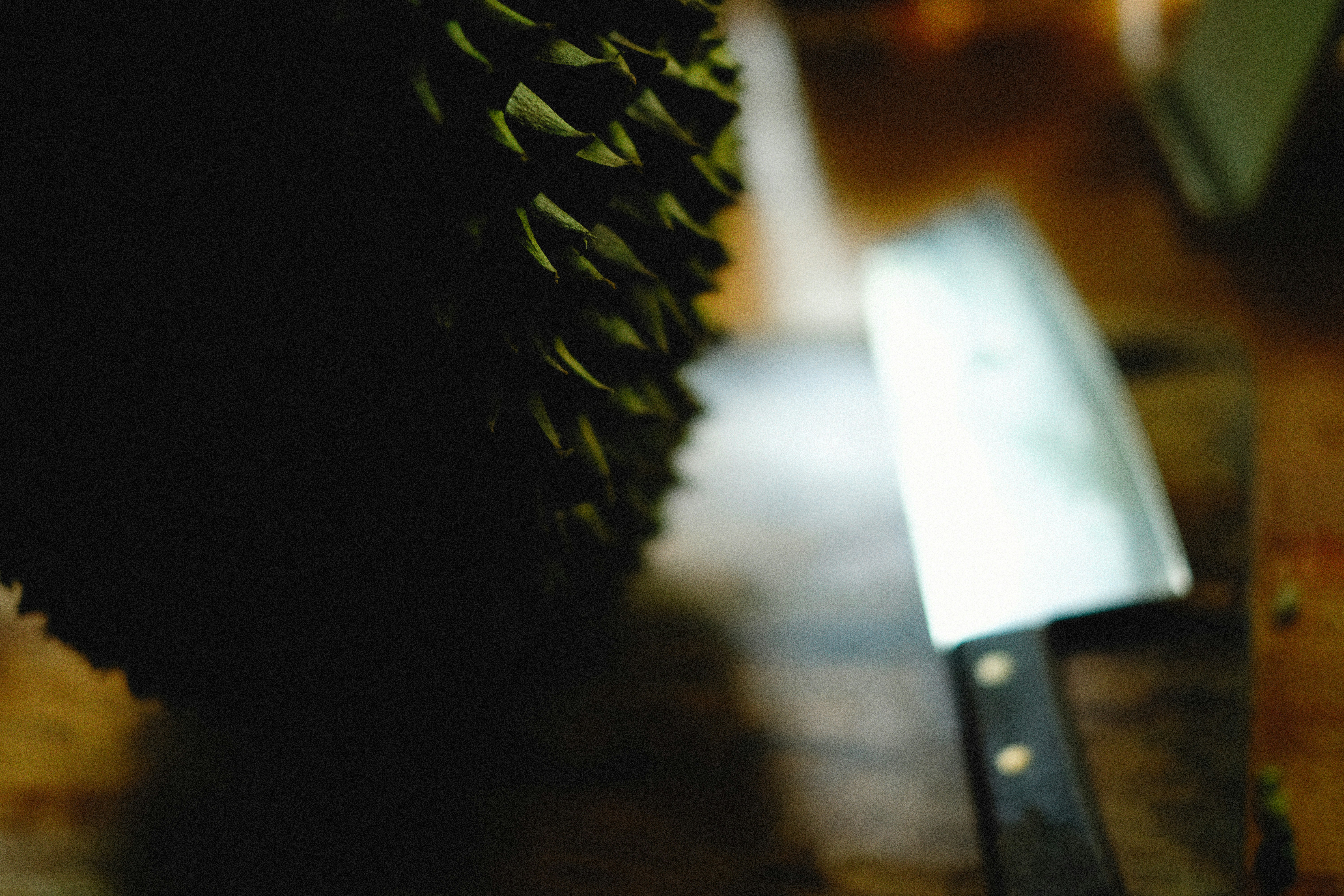 Photo by alexeydemidov