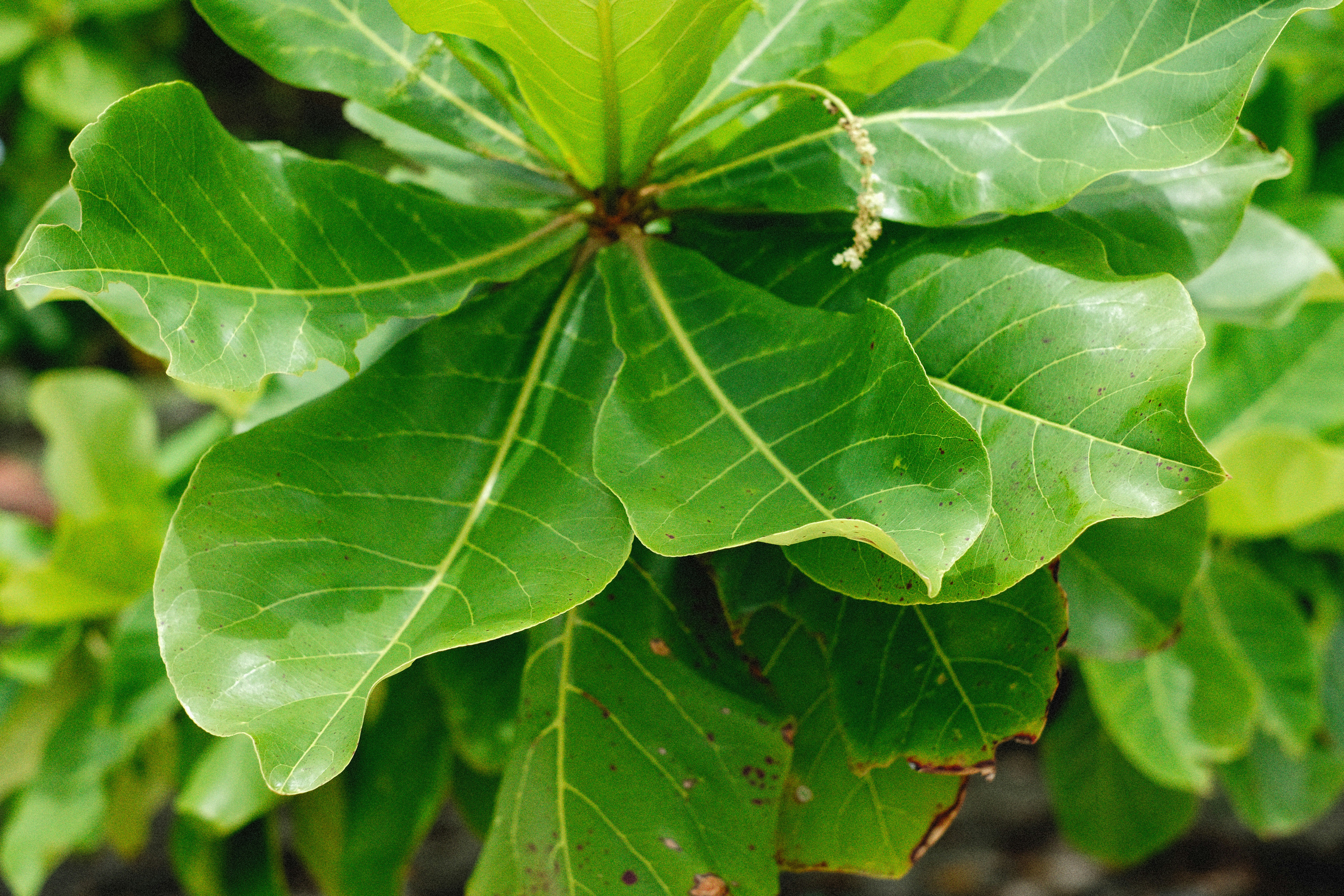 Photo by alexeydemidov