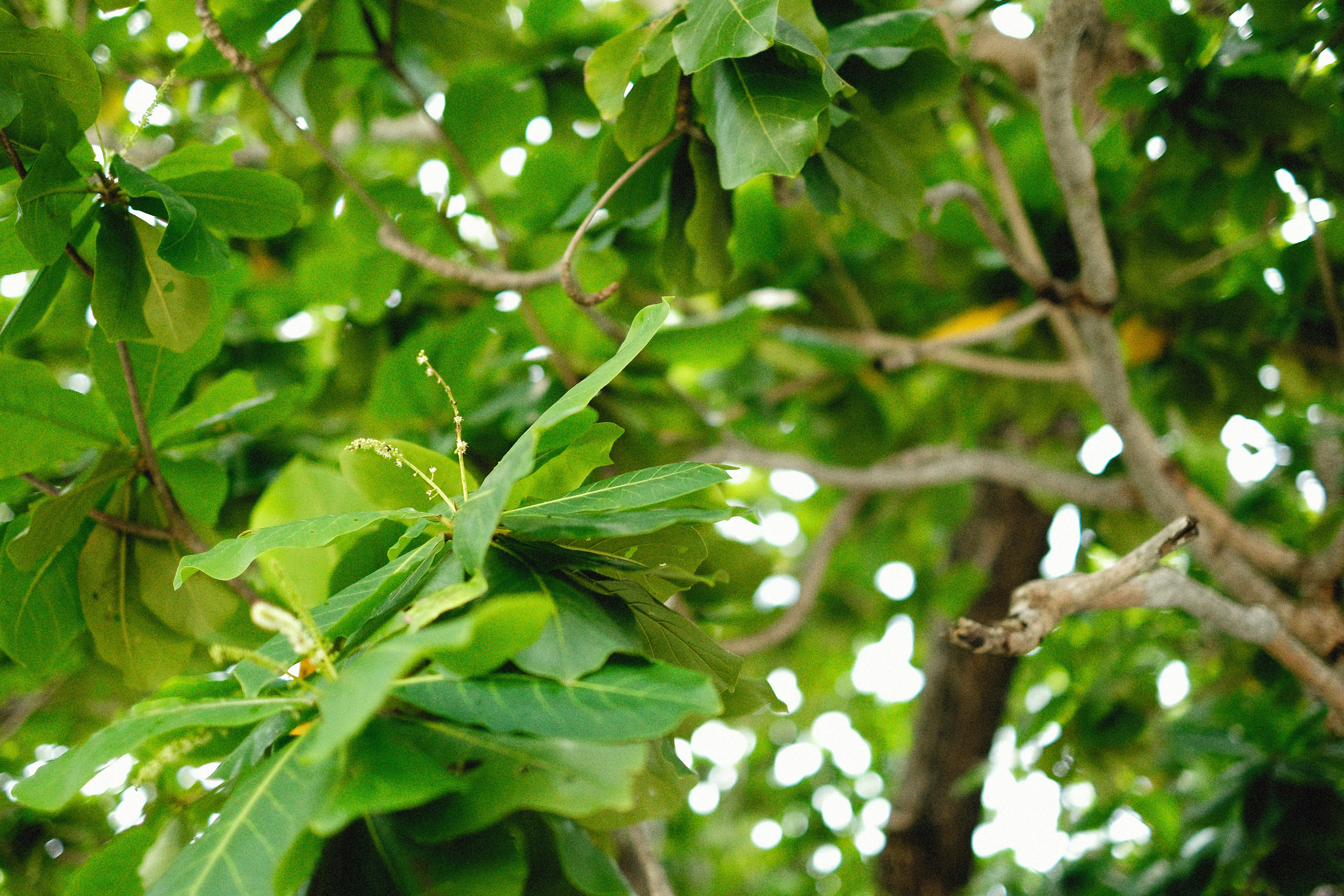 Photo by alexeydemidov