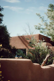 a house with a thatched roof and trees in front of it