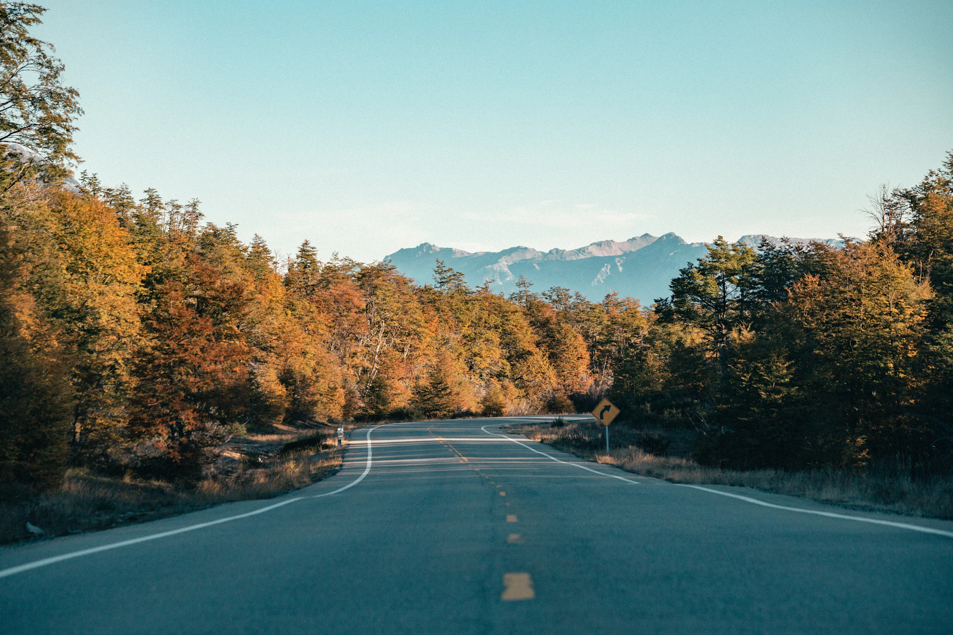 an empty road surrounded by trees with mountains in the background
