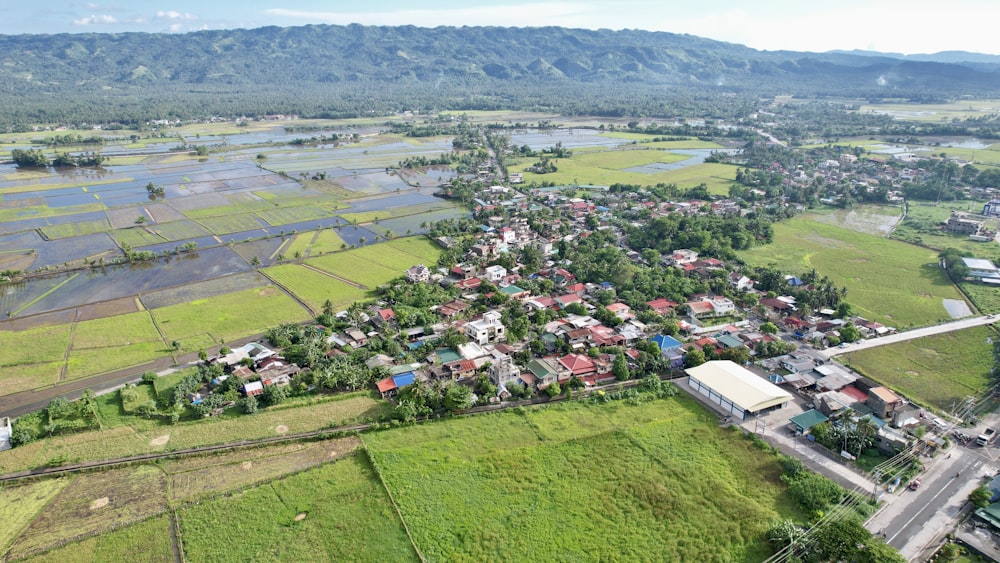an aerial view of a village surrounded by rice fields
