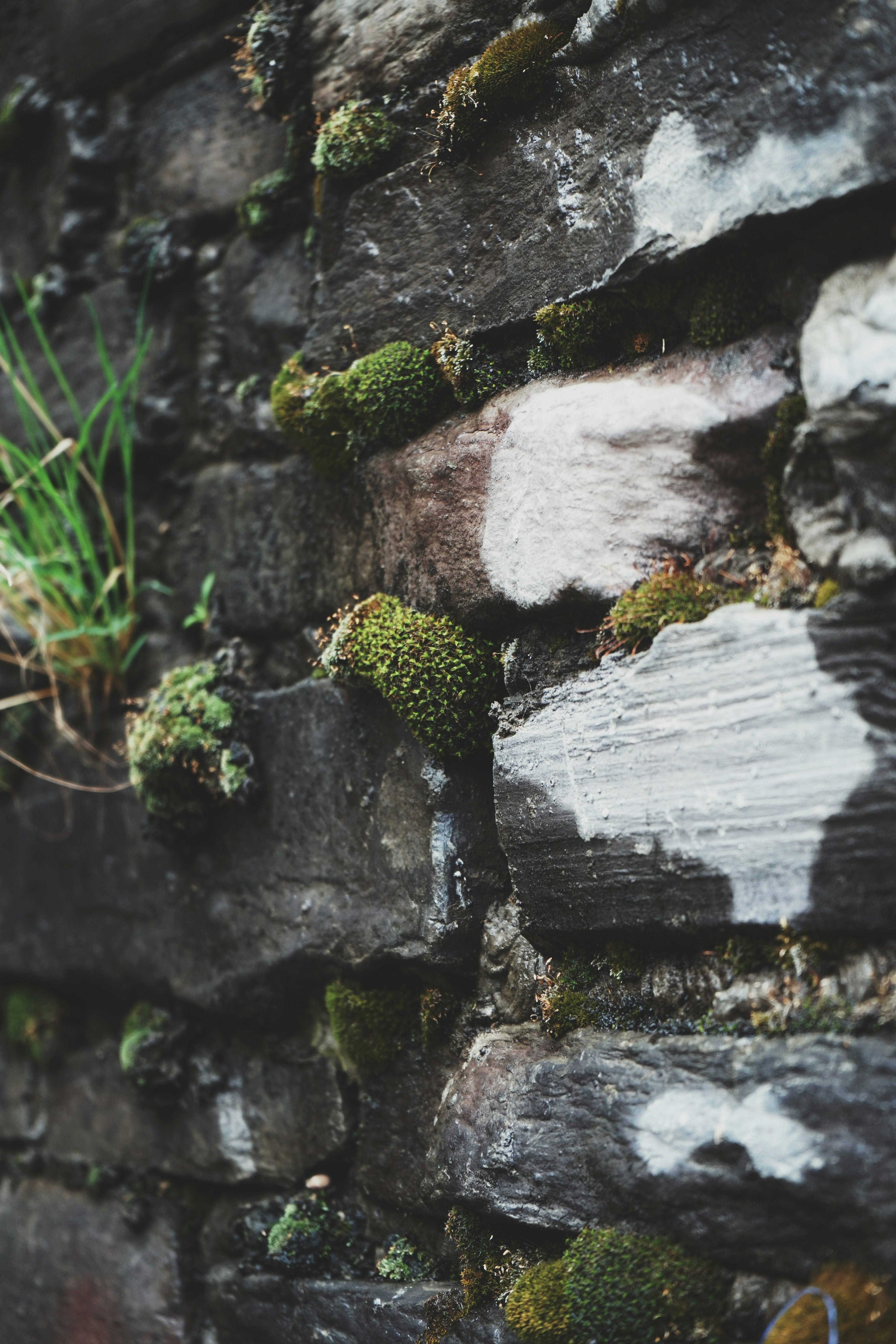 Photo by judahwester