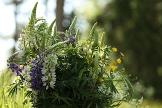 A bouquet of lupines with purple and white petals surrounded by green foliage and a few yellow flowers. The background is blurred with hints of sunlight filtering through leaves, creating a serene and natural setting.