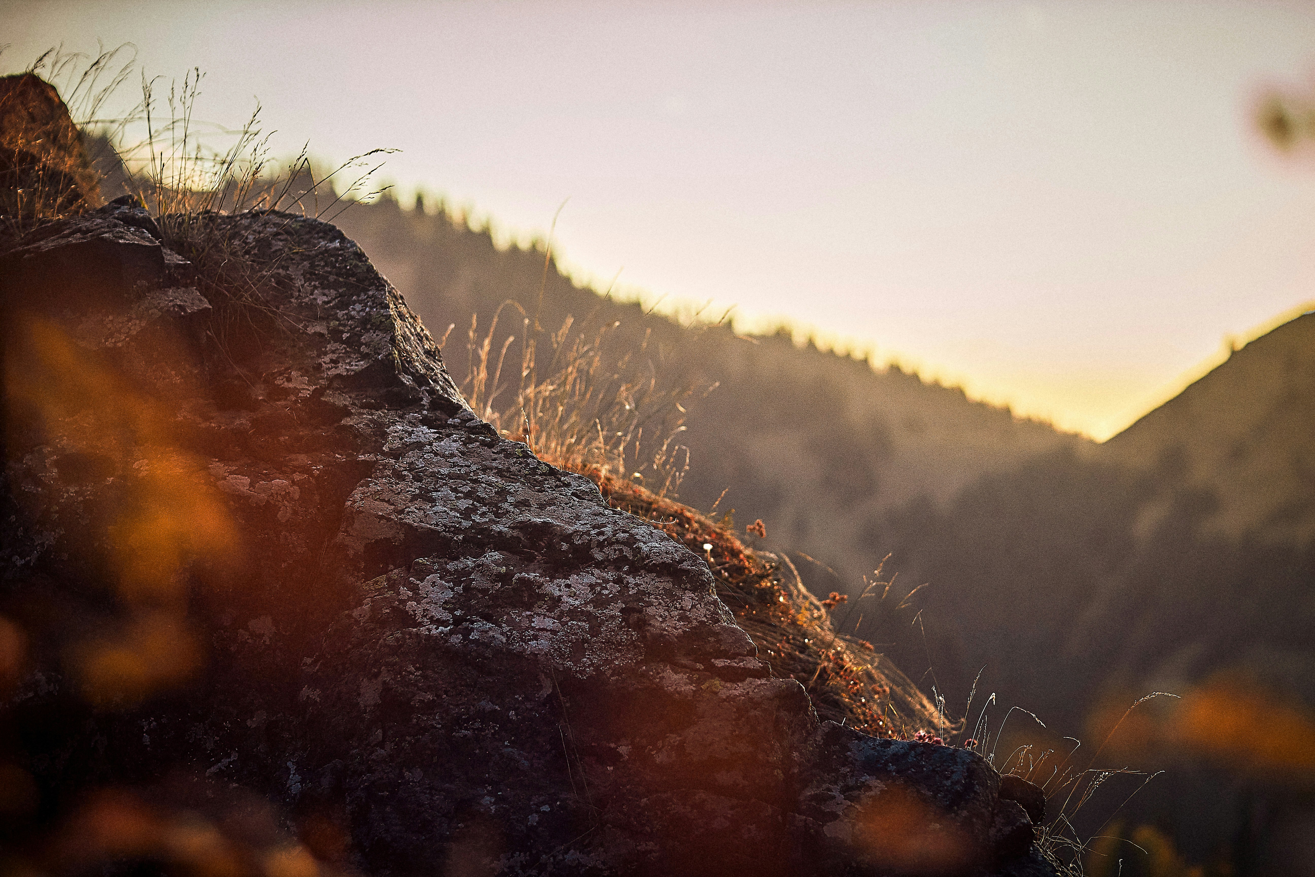 Photo by barsuklis