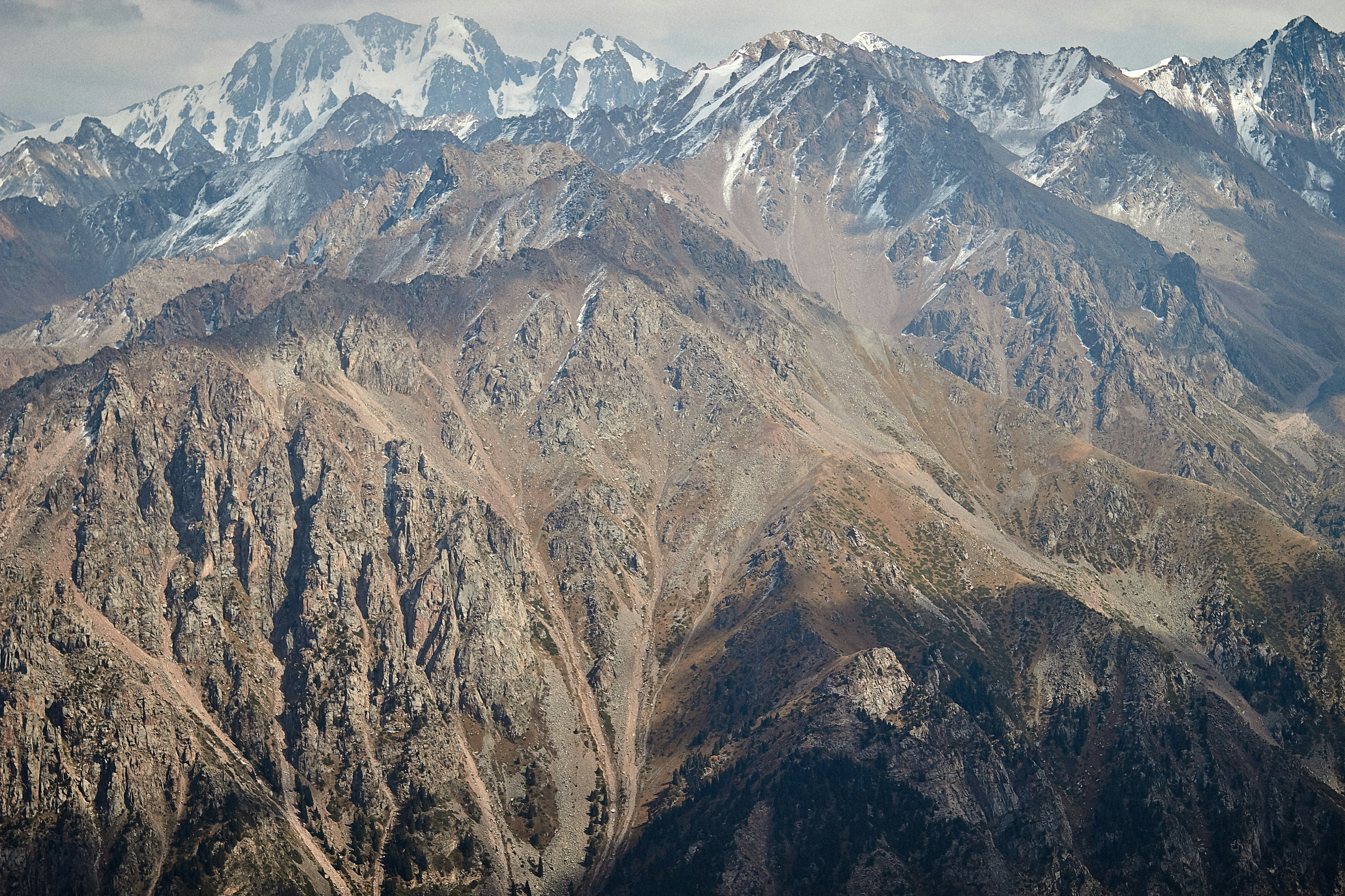 Photo by barsuklis
