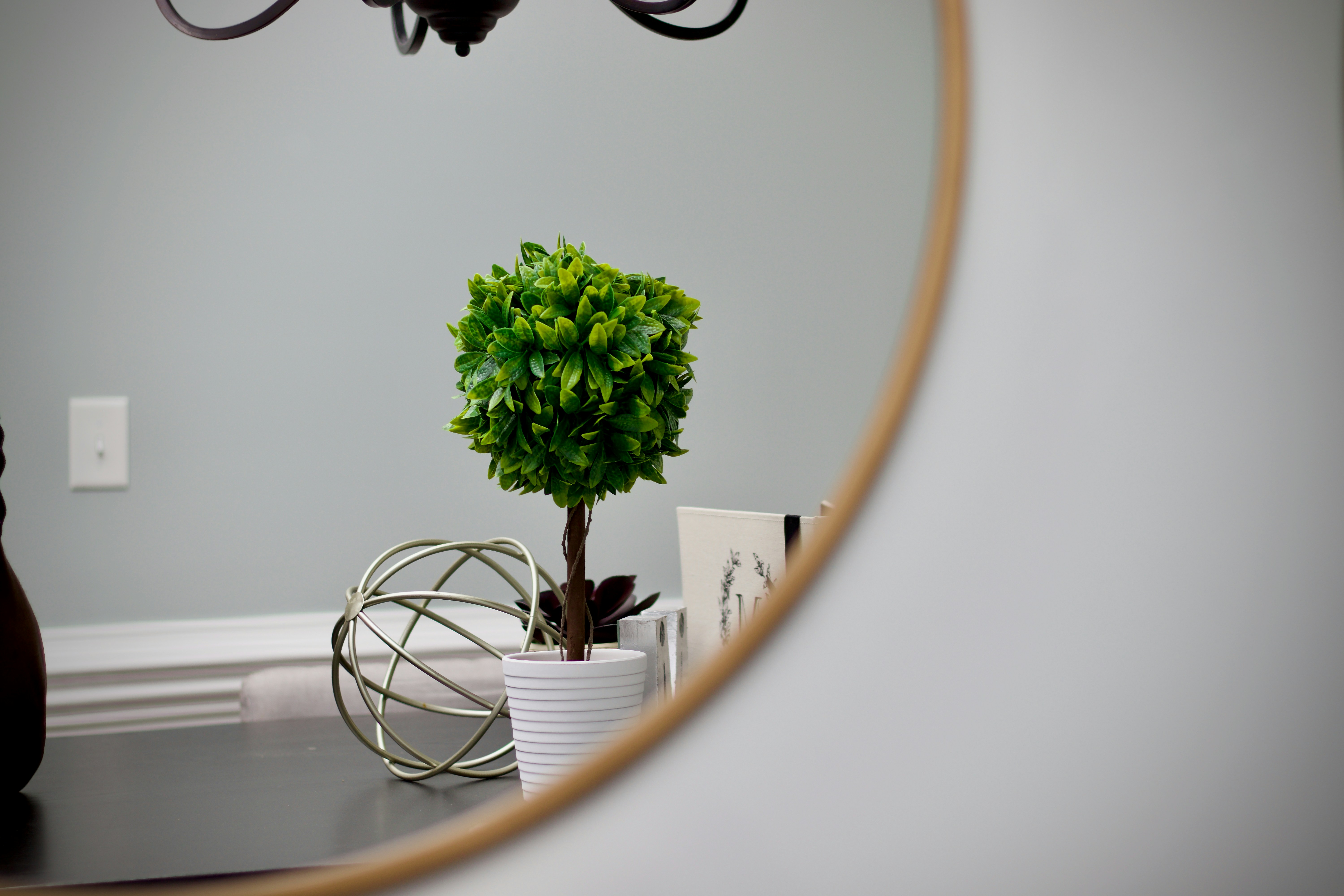 Photo by mrperfect229