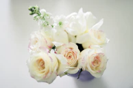 Chic bridal bouquet with cream roses and delicate greenery on white background
