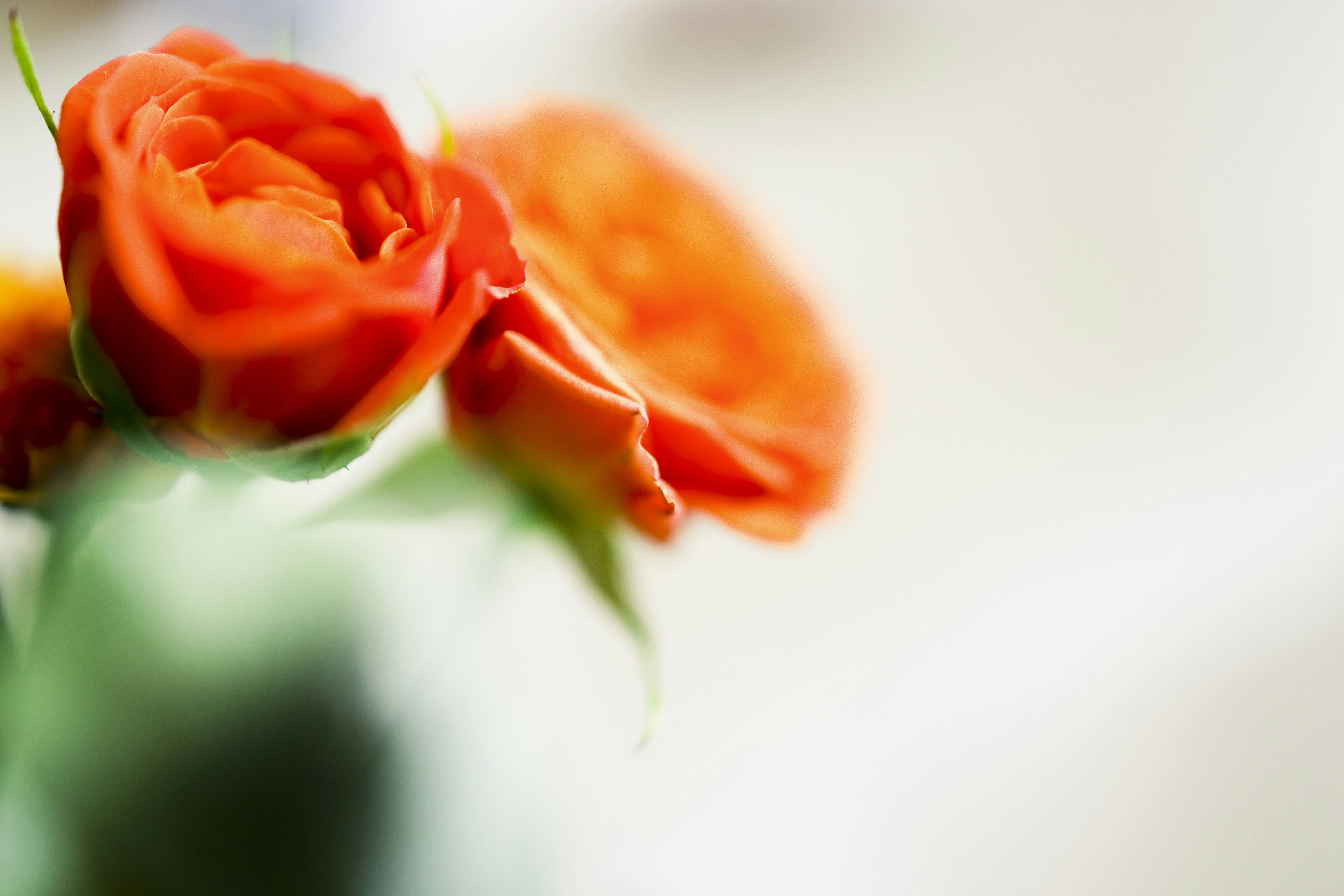 Photo by arttoinspire