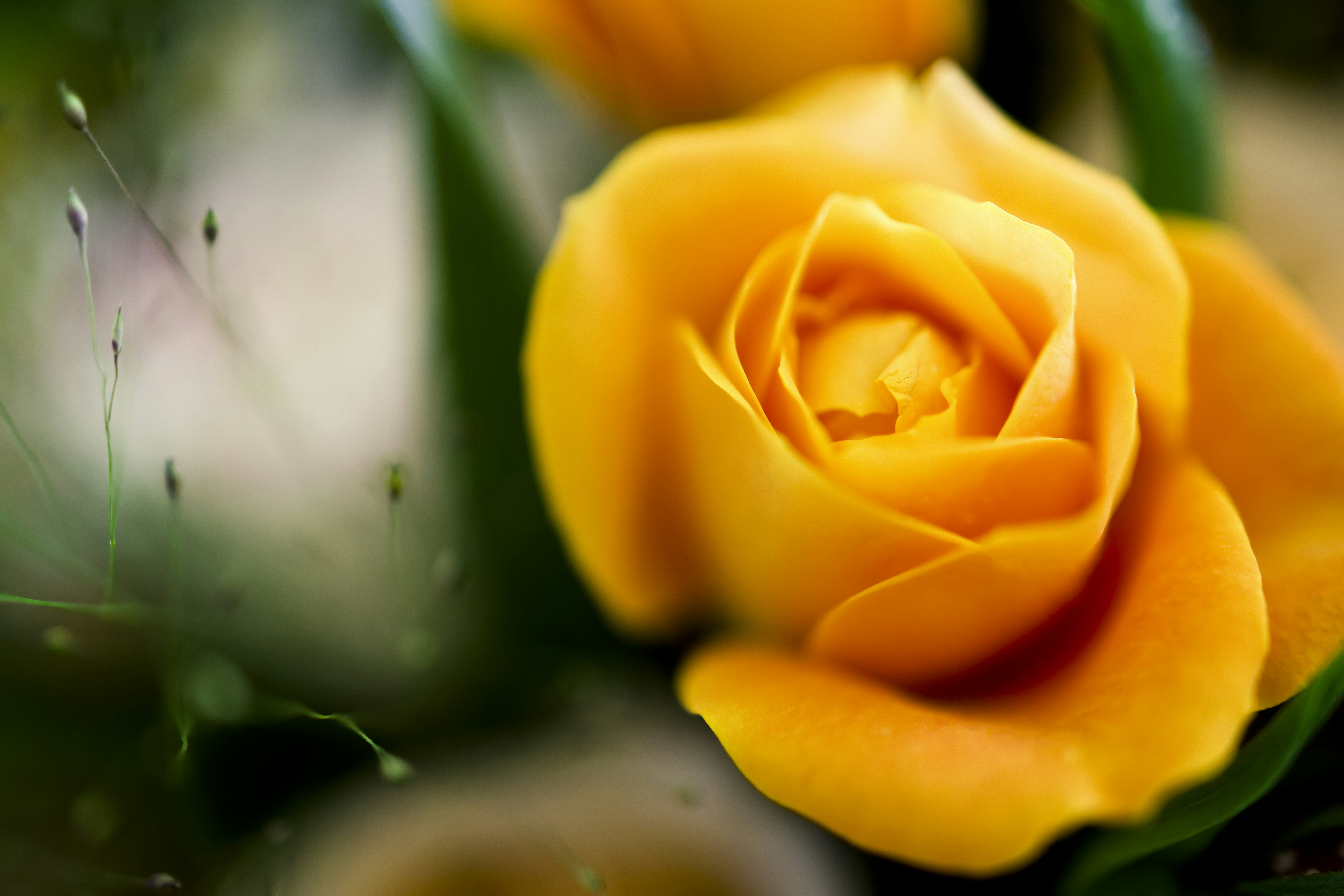 Photo by arttoinspire