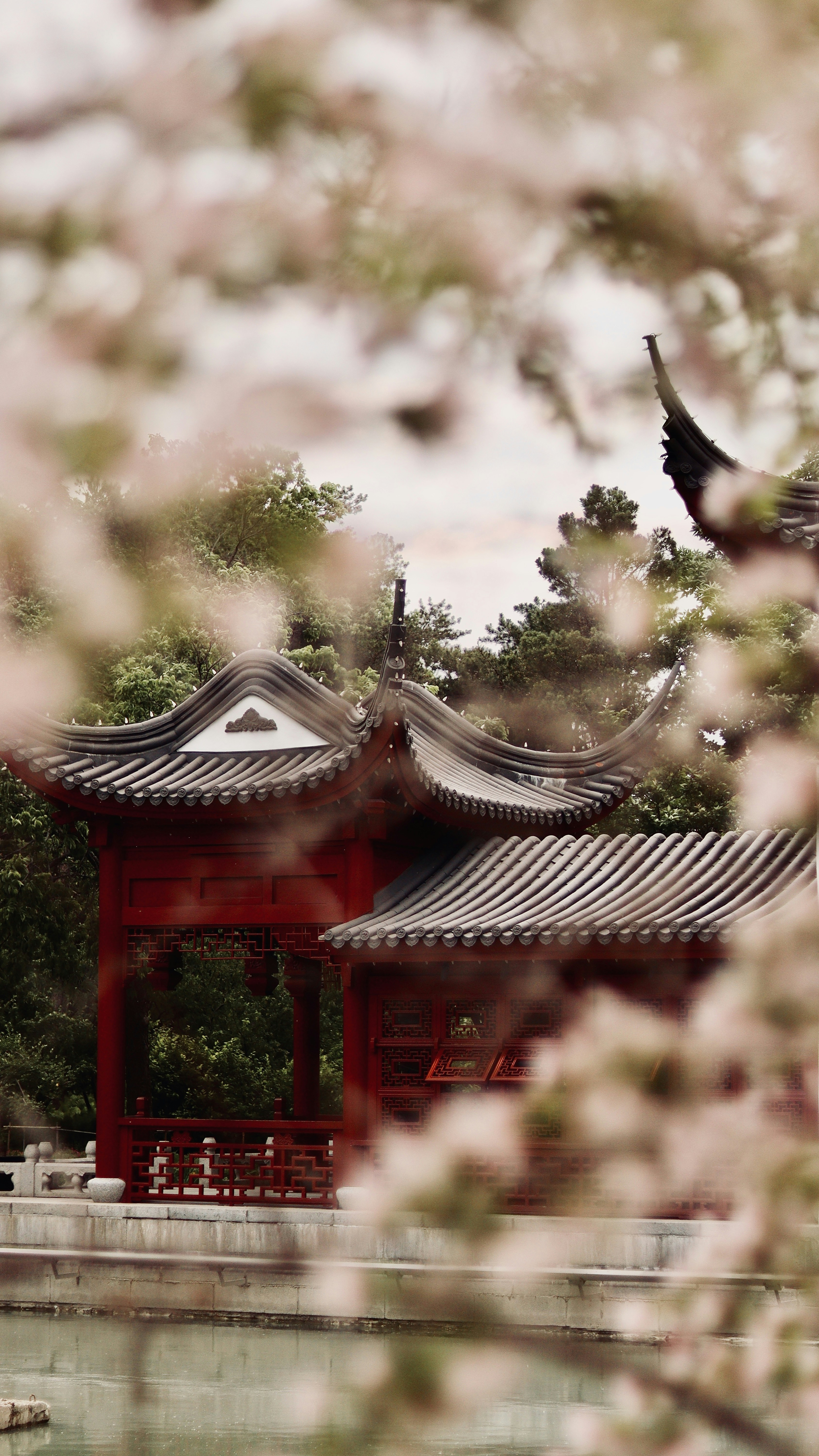 Photo by sangam_sharma