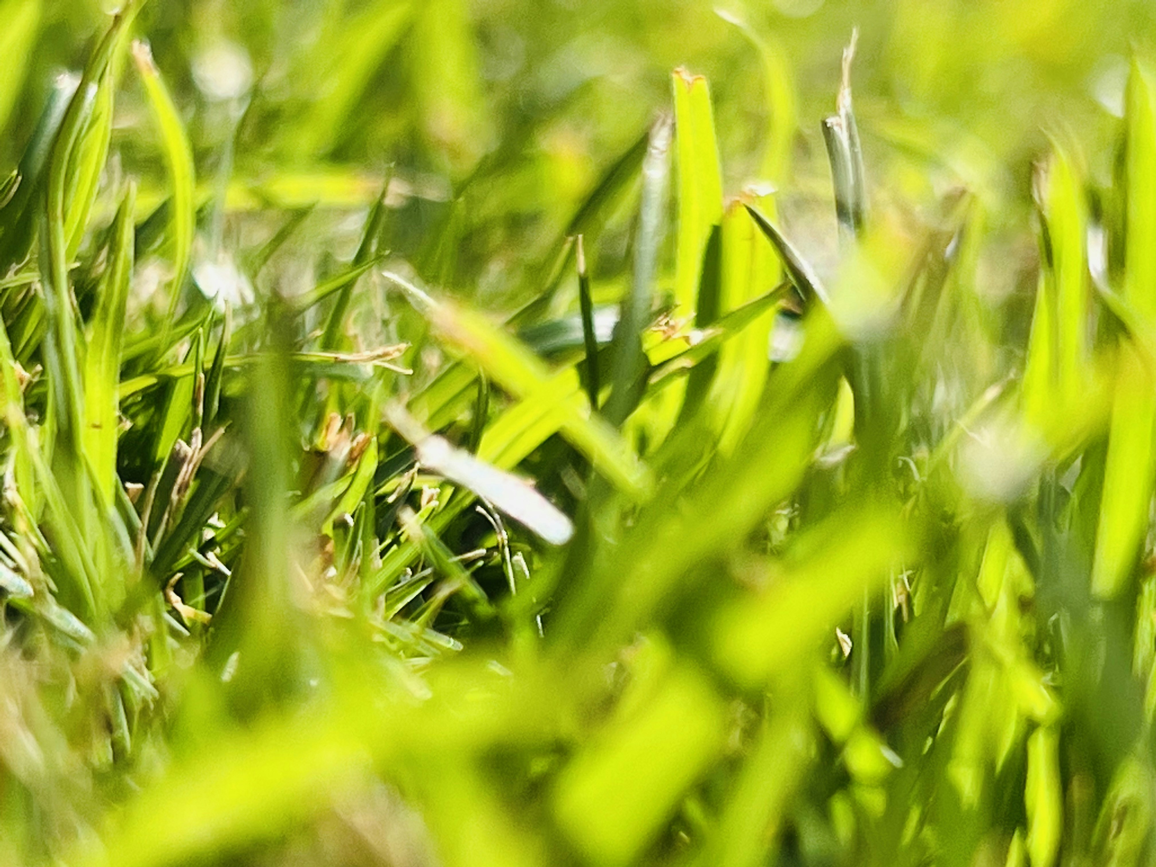 Photo by ramayanamrishika2100