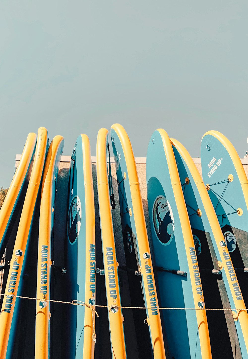 a bunch of surfboards are lined up against a wall