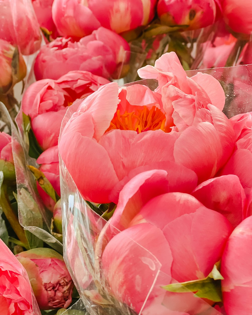 a bunch of pink flowers in a vase