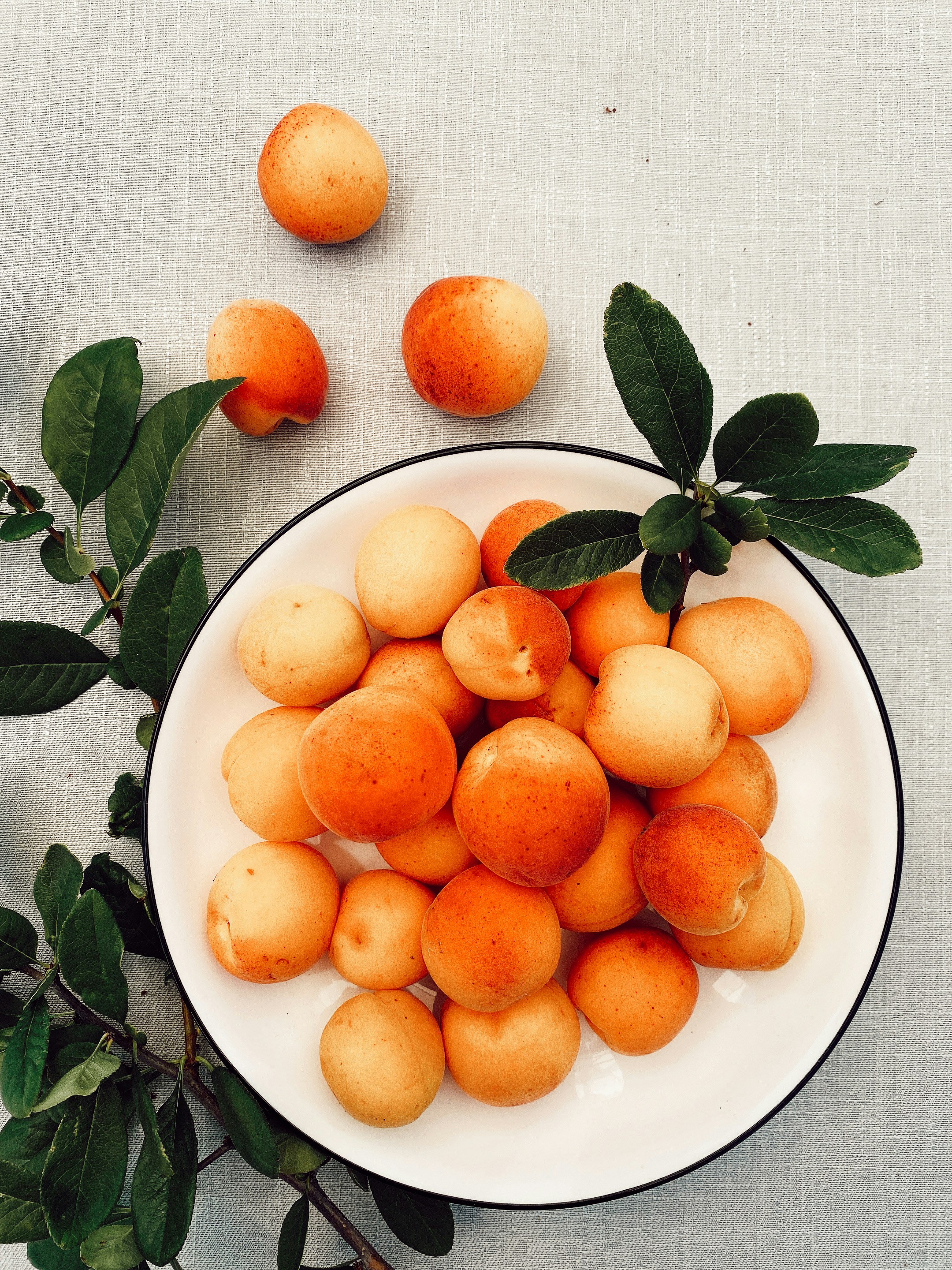 How Language Spread Reveals Hidden Migration Patterns