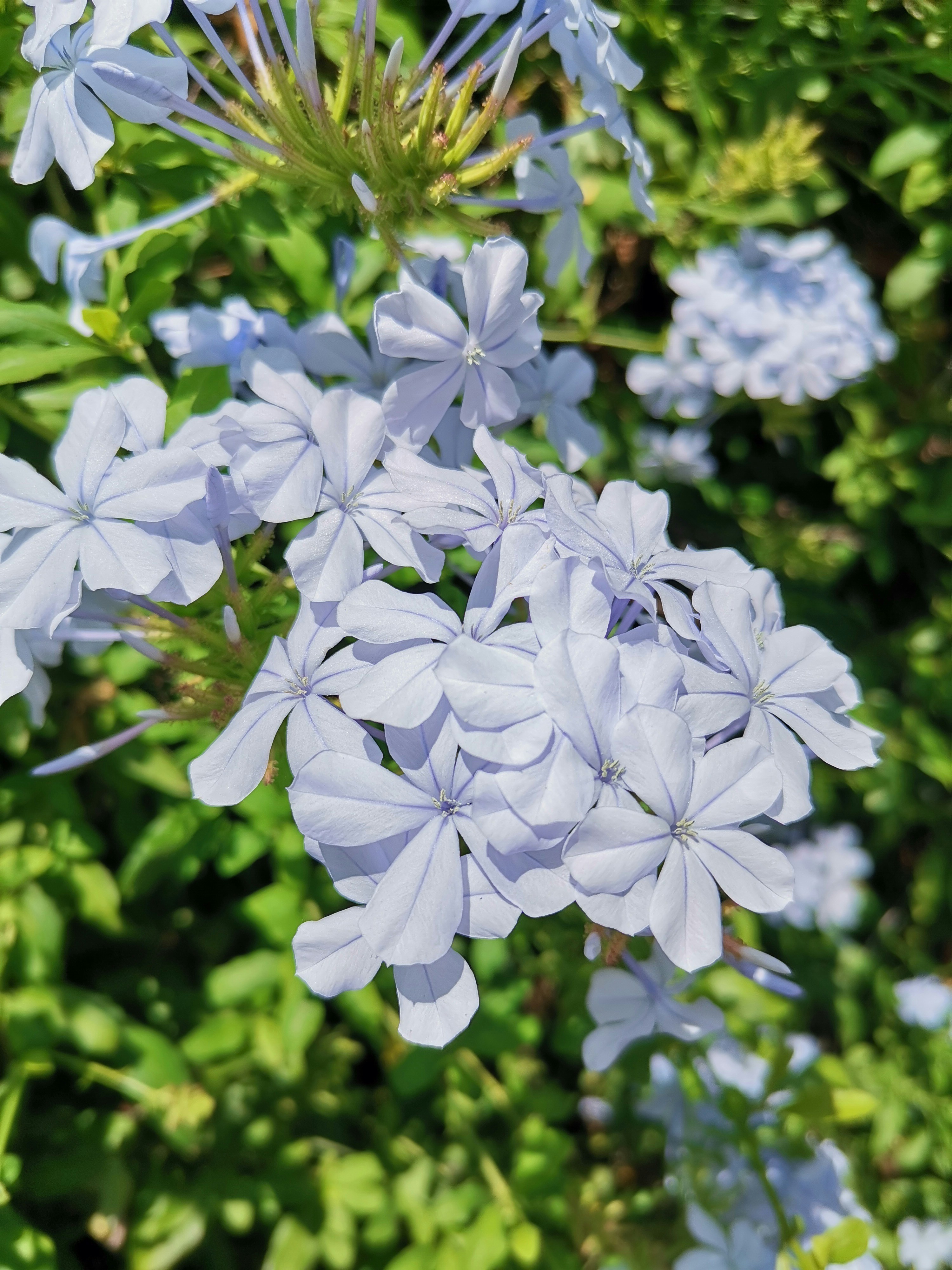 Photo by alicemareri