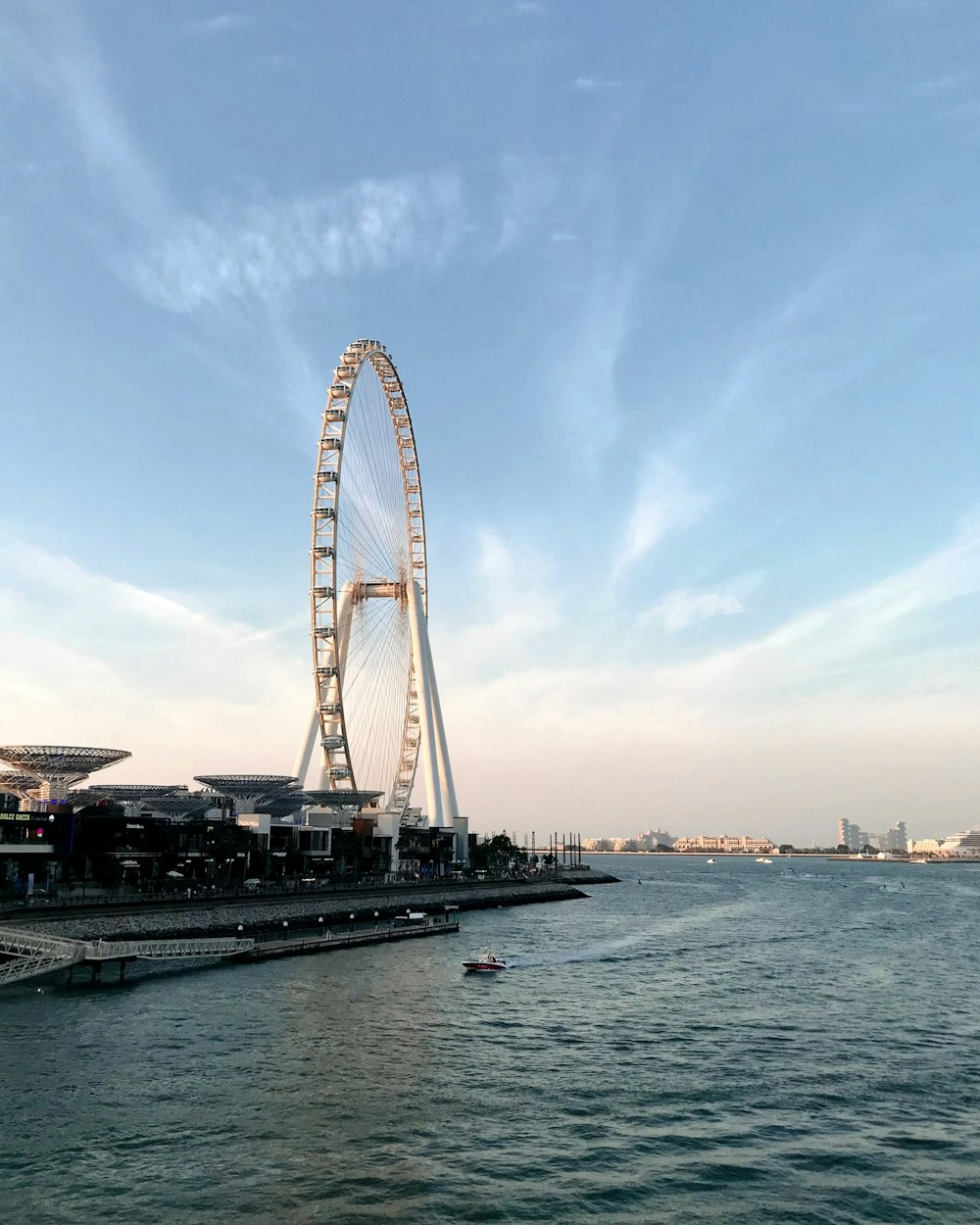 a large ferris wheel sitting on top of a body of water