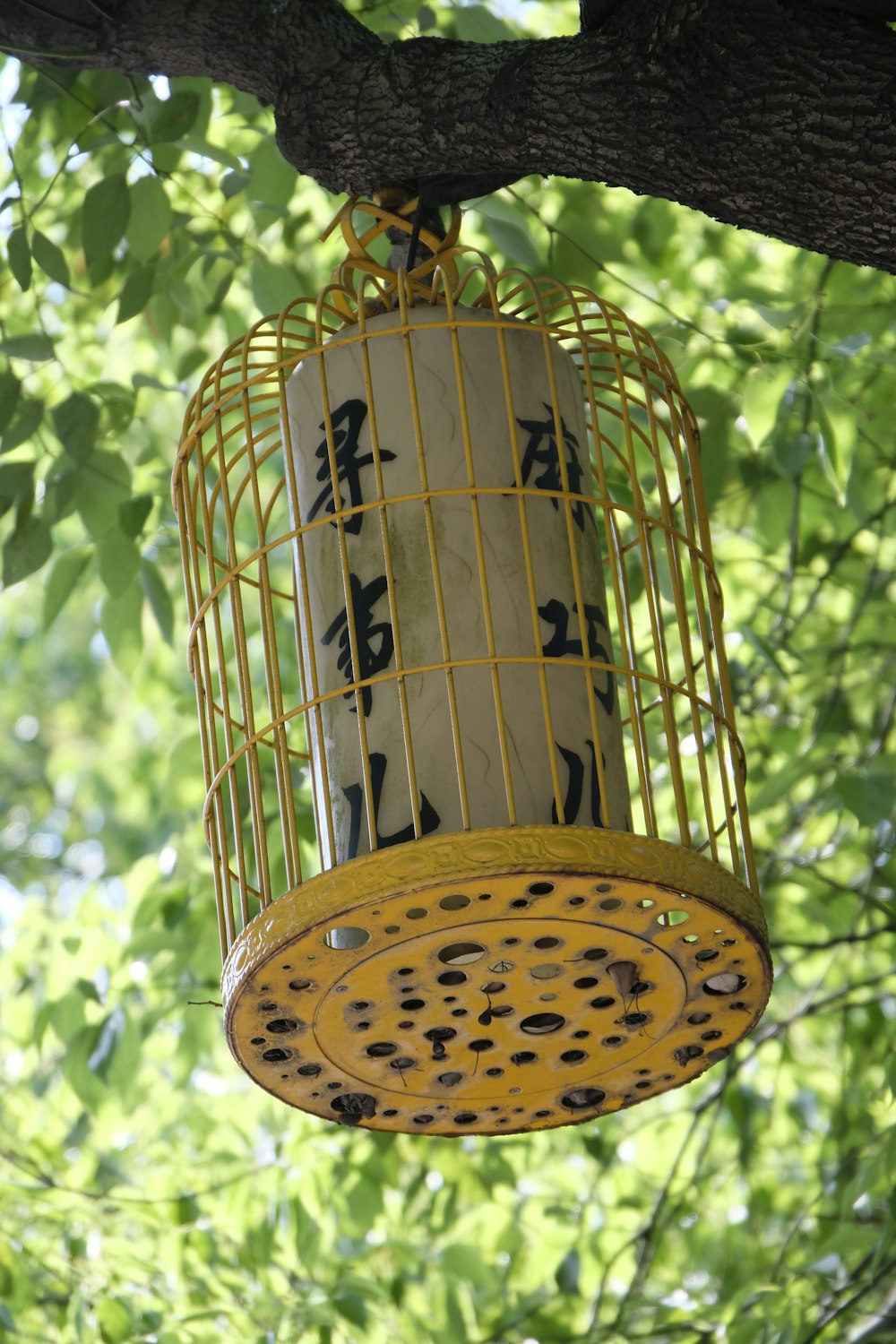 a bird cage hanging from a tree branch