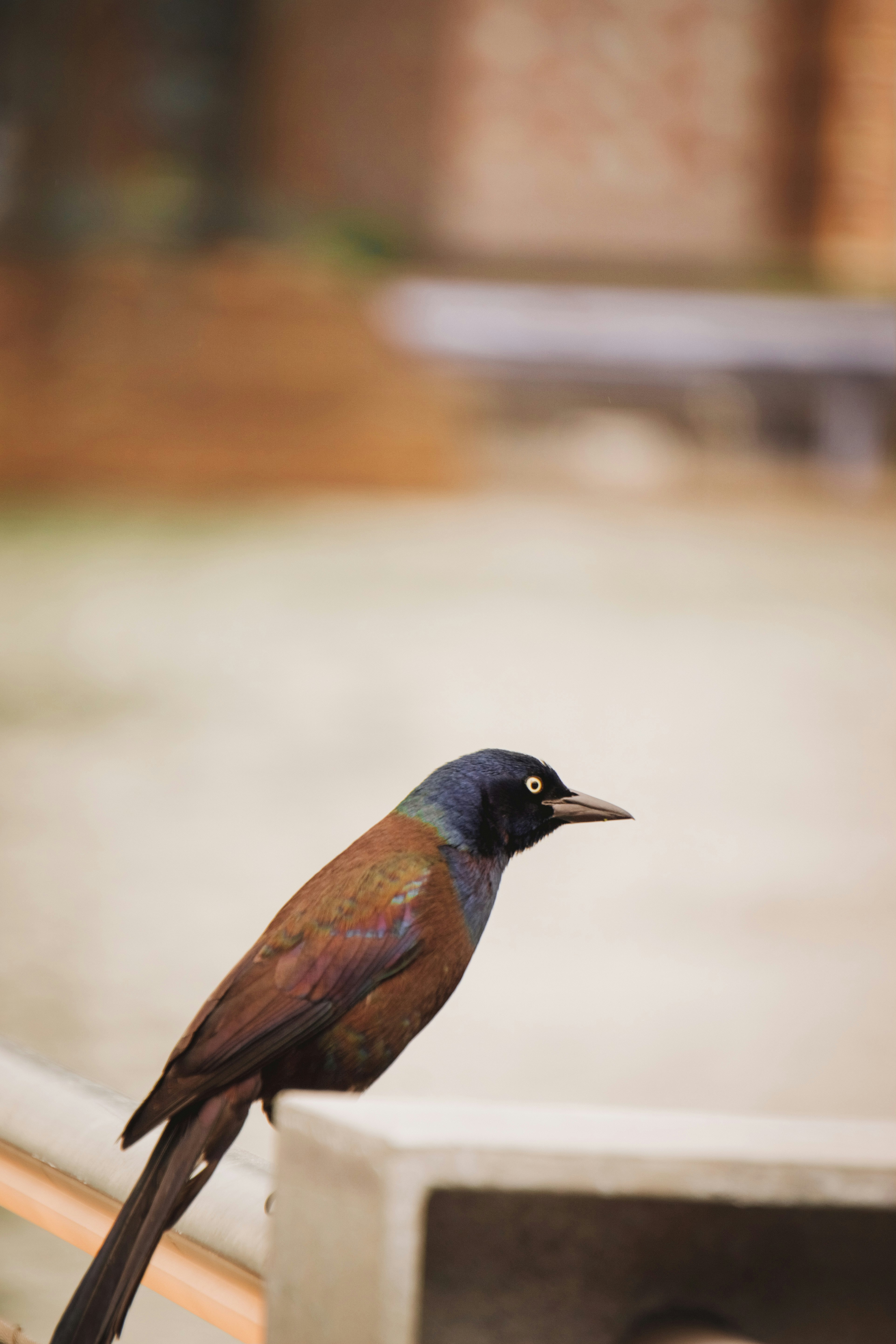 Photo by elisadventure_photo