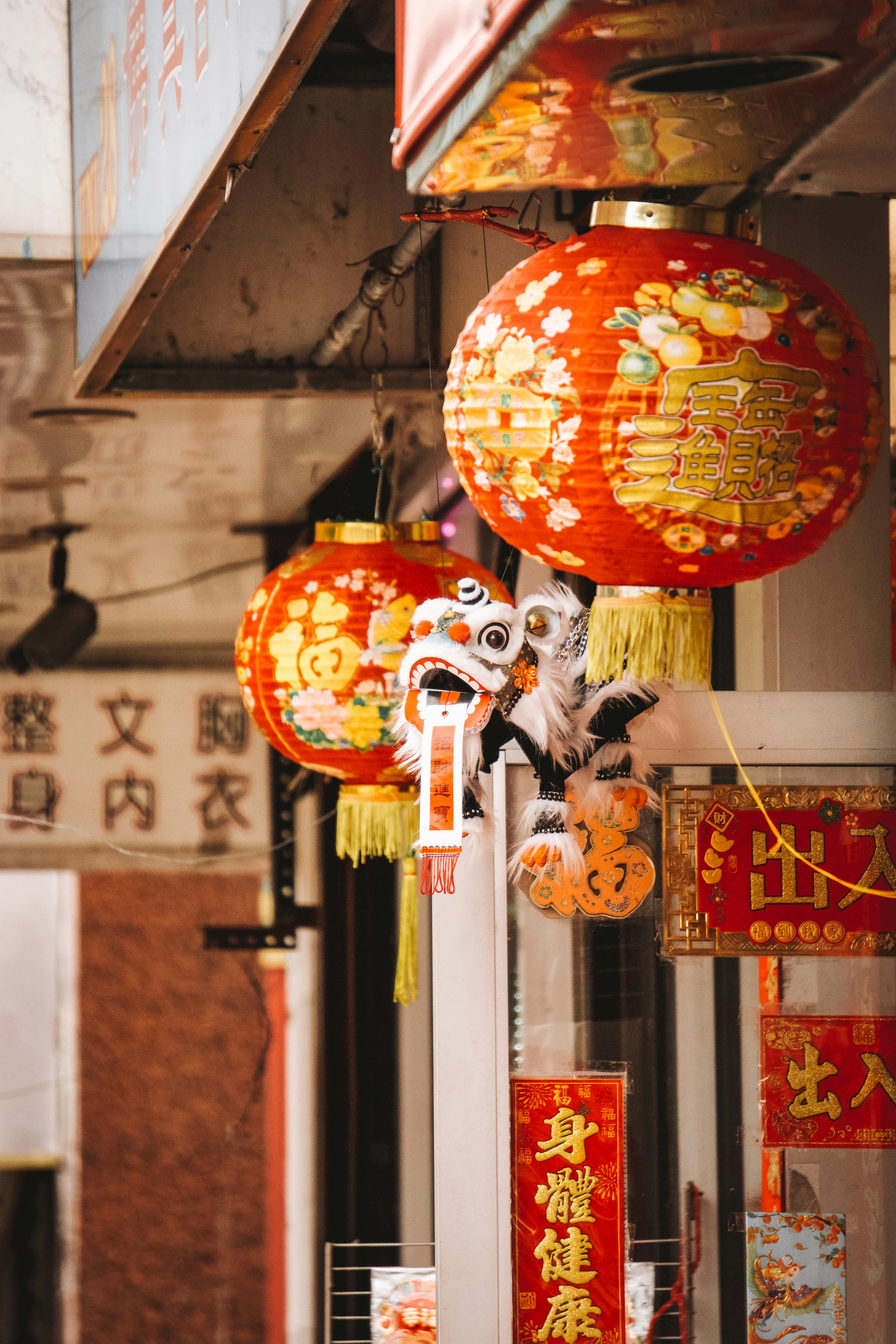 Photo by elisadventure_photo