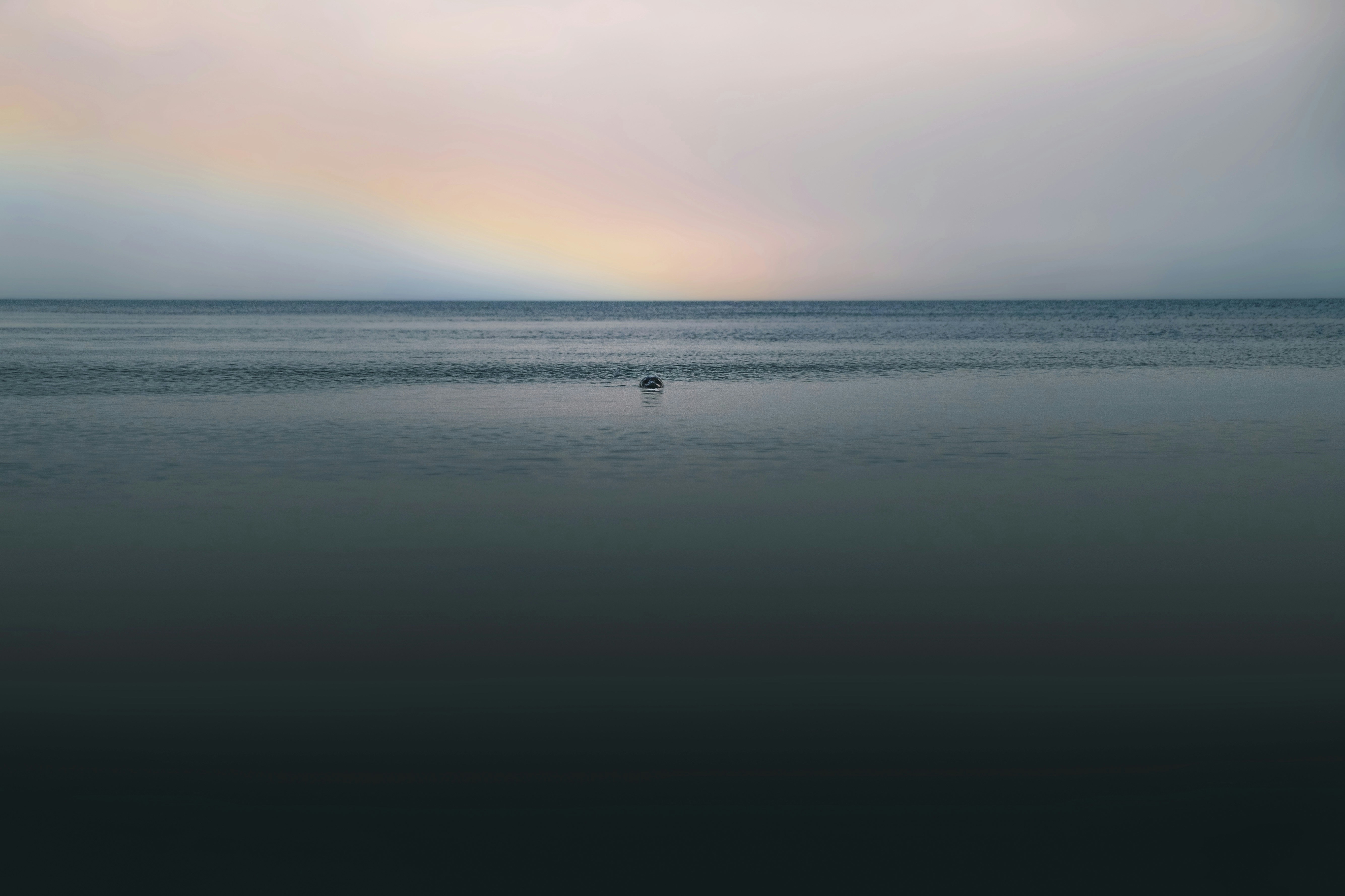 Photo by kevinmueller