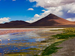 A panoramic view of Lake Nakuru shimmering with thousands of pink flamingos.