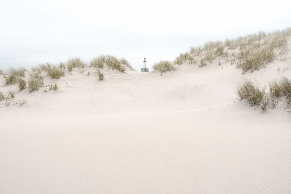 una zona sabbiosa con erba e dune di sabbia