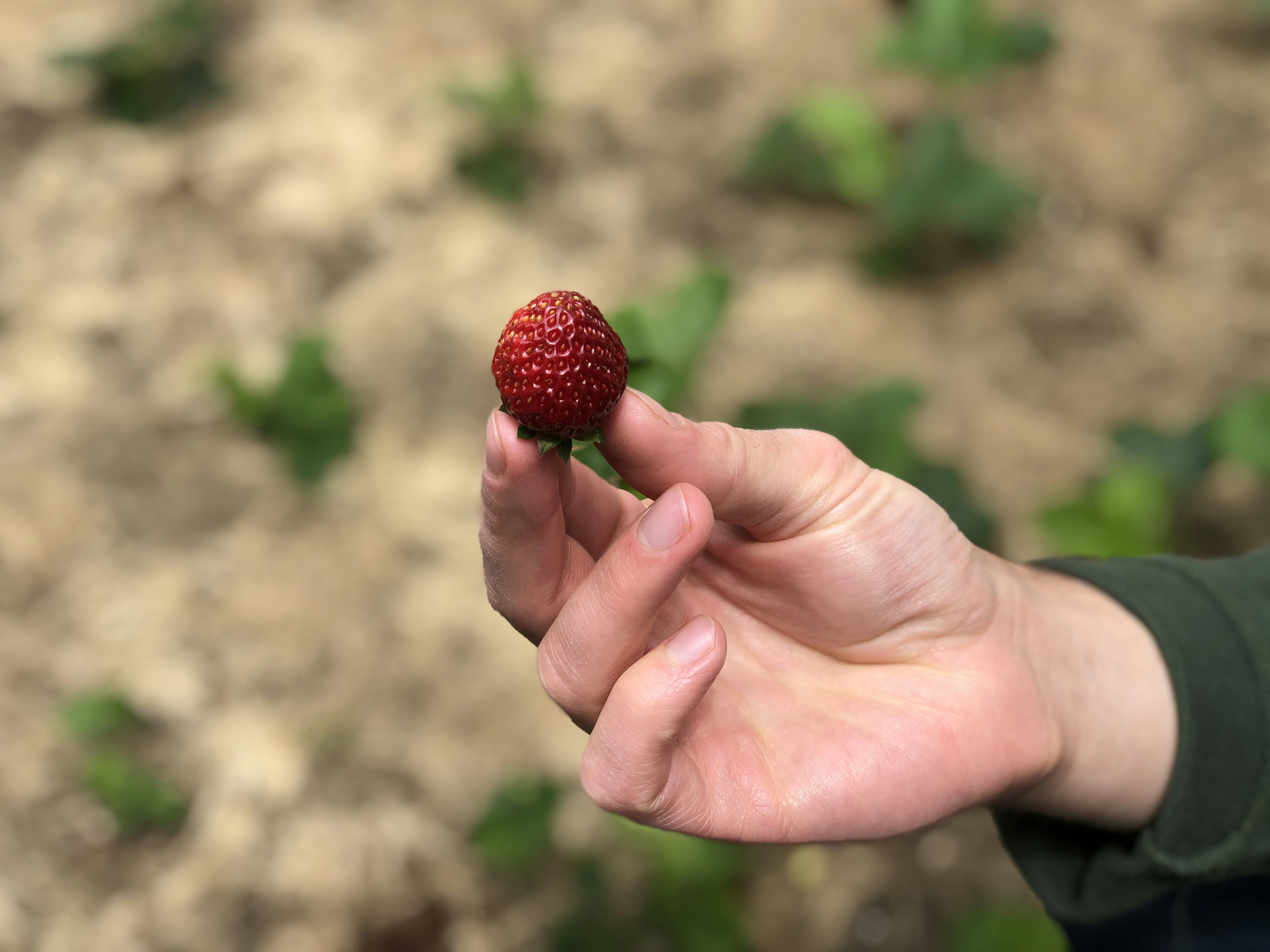 gray computer monitor