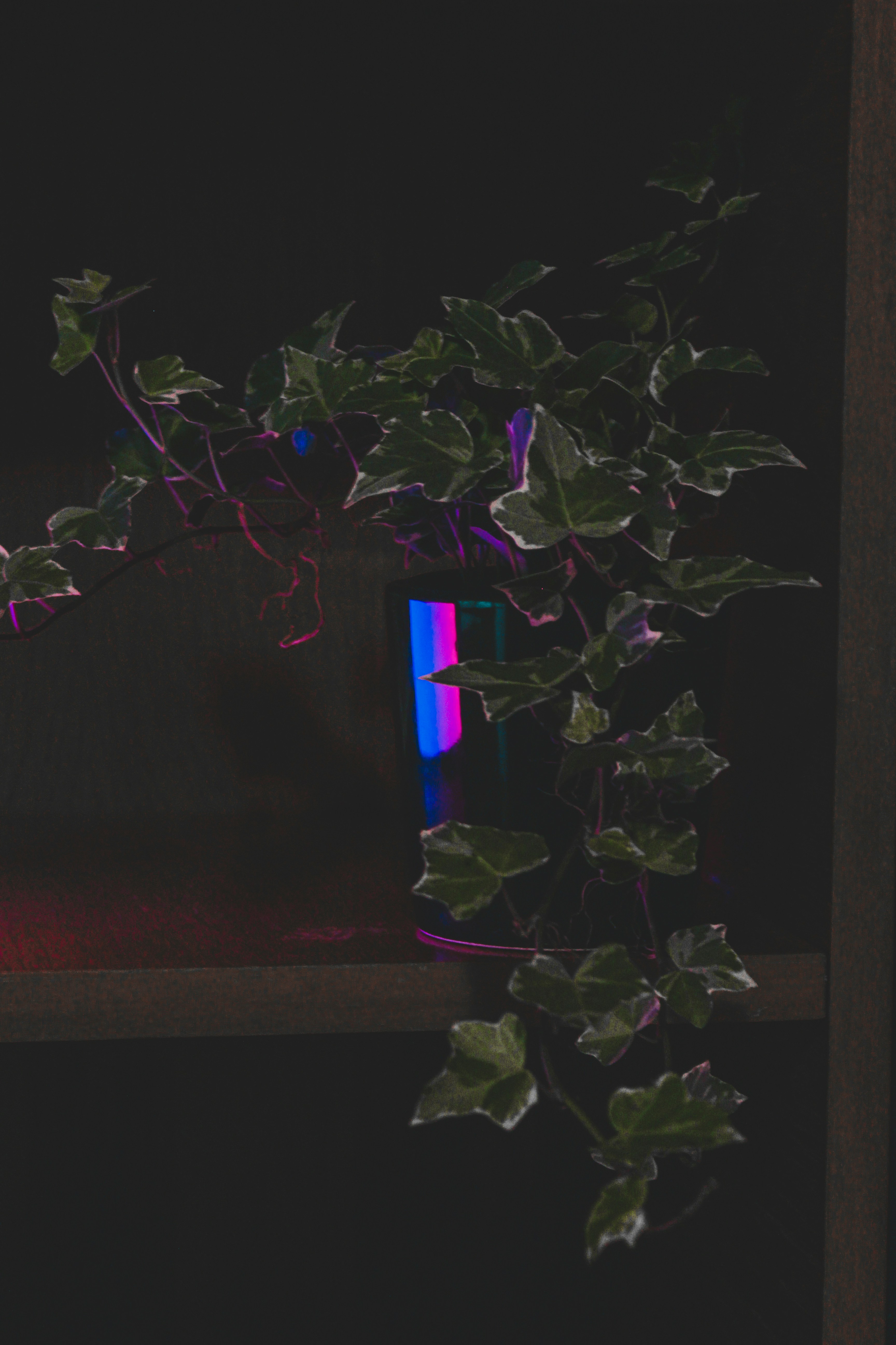 Photo by czapp_arpad