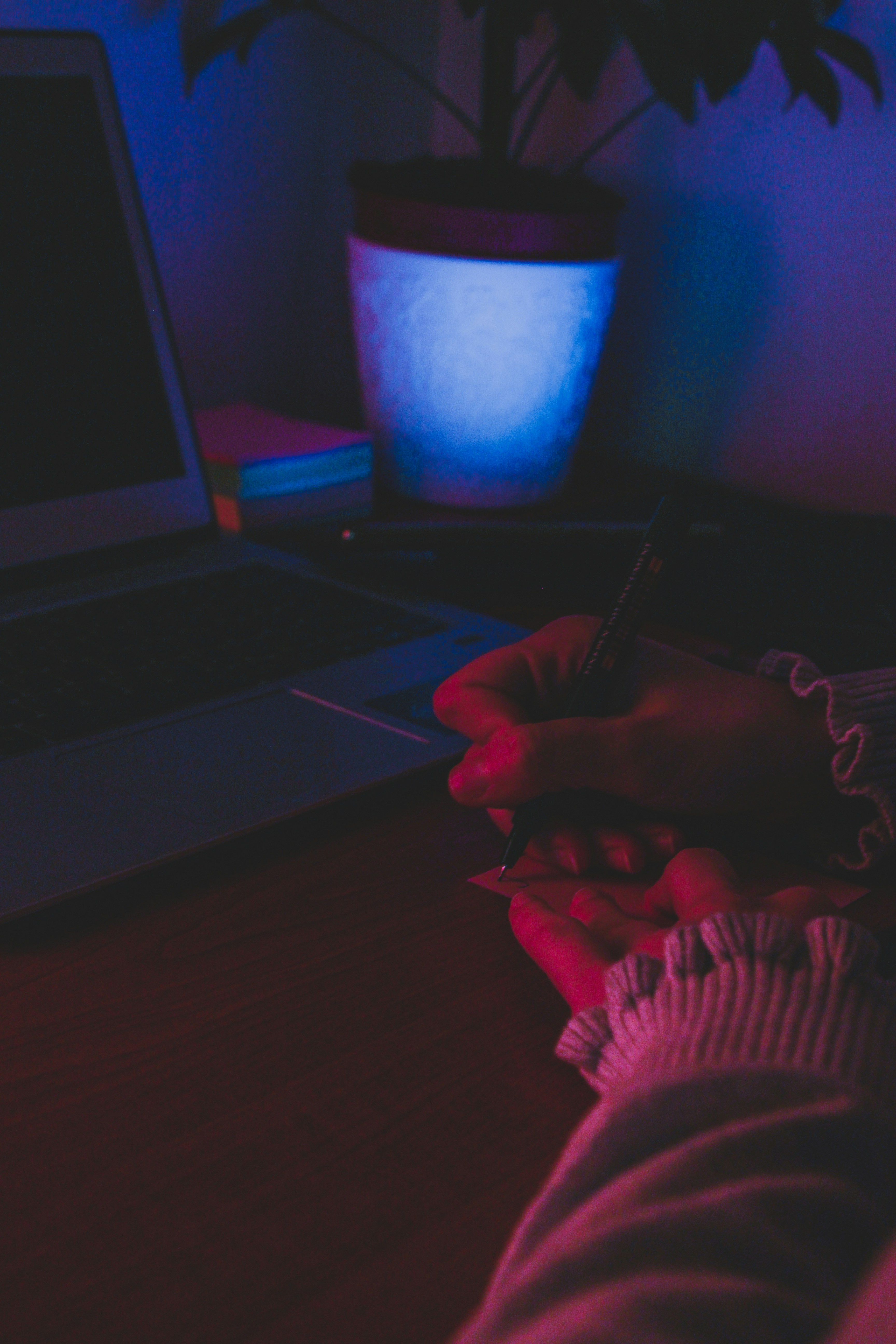 Photo by czapp_arpad