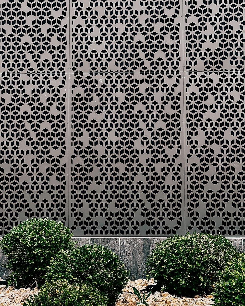 a couple of bushes sitting in front of a building