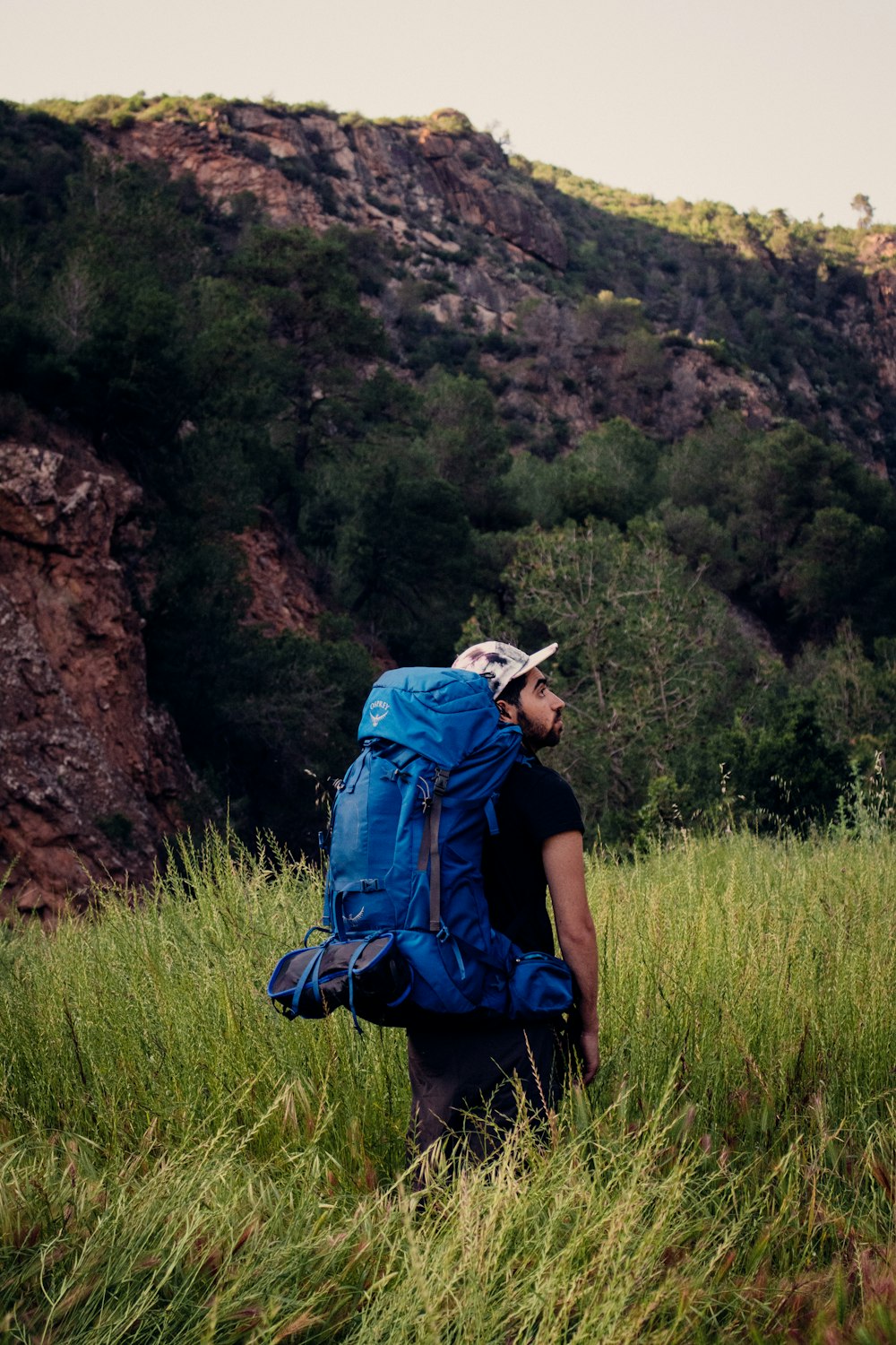 a man with a blue backpack walking through tall grass