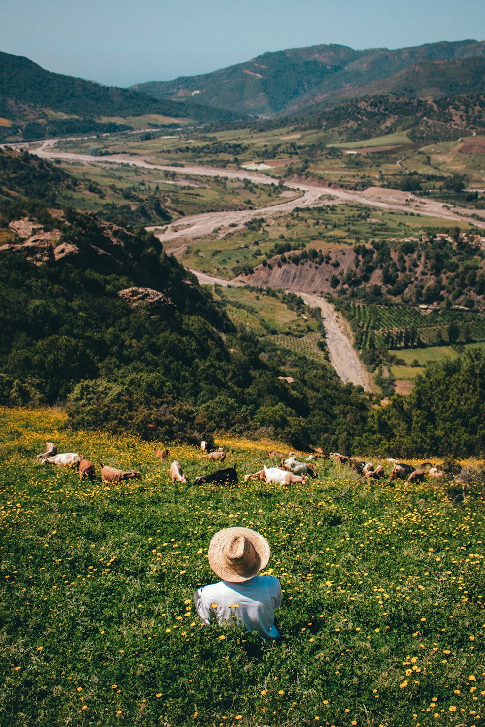 a person sitting in a field with a hat on