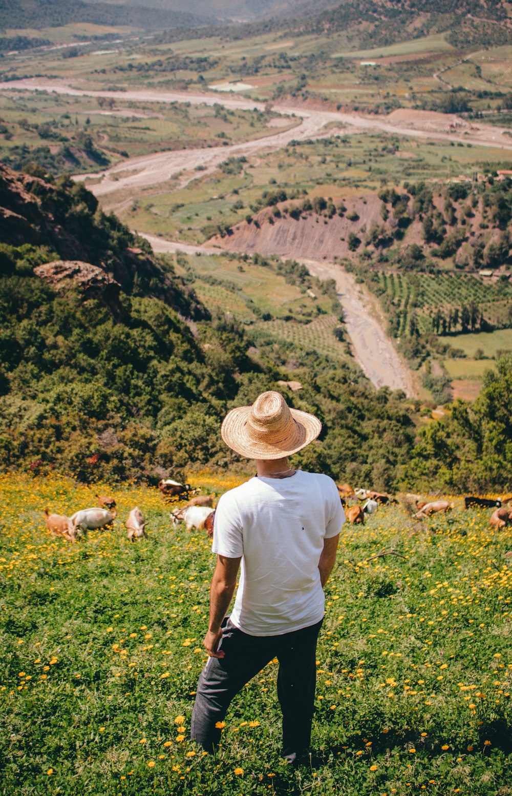 a man in a hat standing in a field