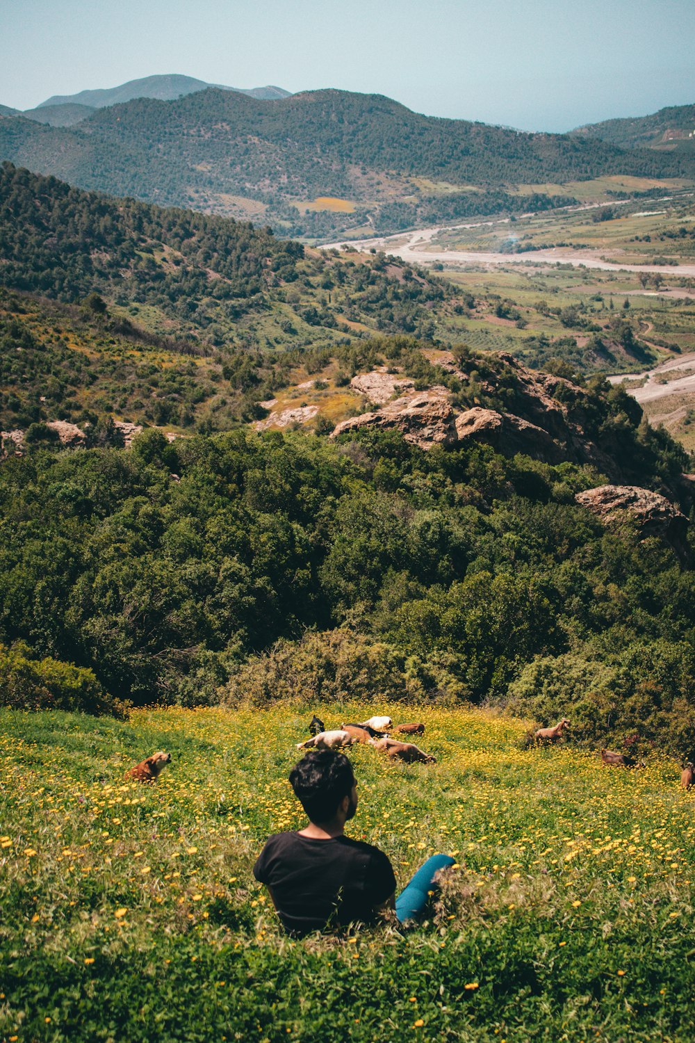 a person sitting on top of a lush green hillside