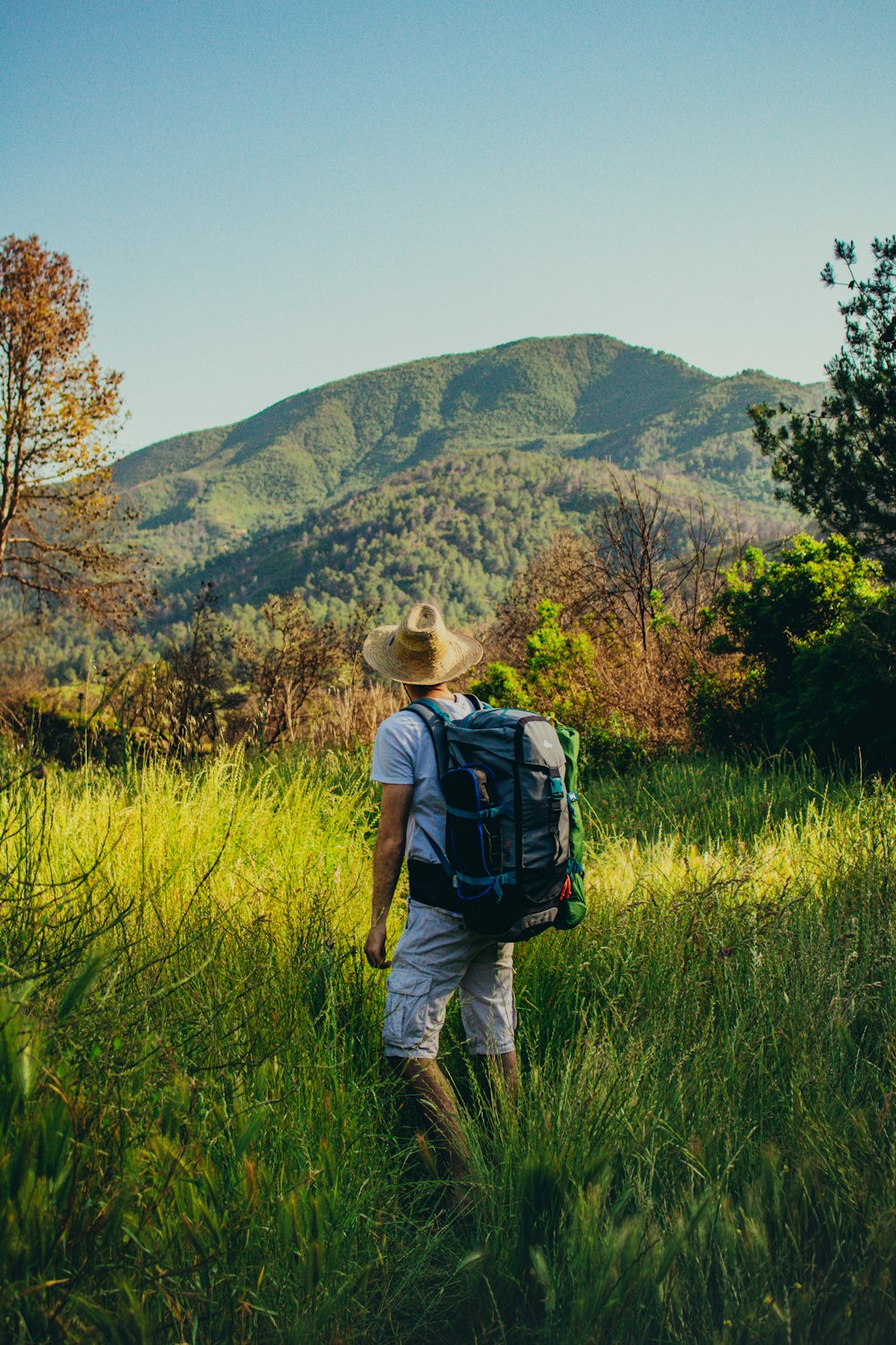 Ein Mann mit Rucksack geht durch hohes Gras