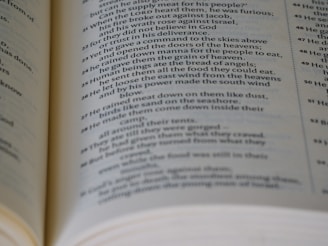 Close-up of an open book showing detailed, well-edited text emphasizing quality and precision.