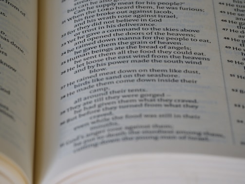 Close-up of an open book showing detailed, well-edited text emphasizing quality and precision.