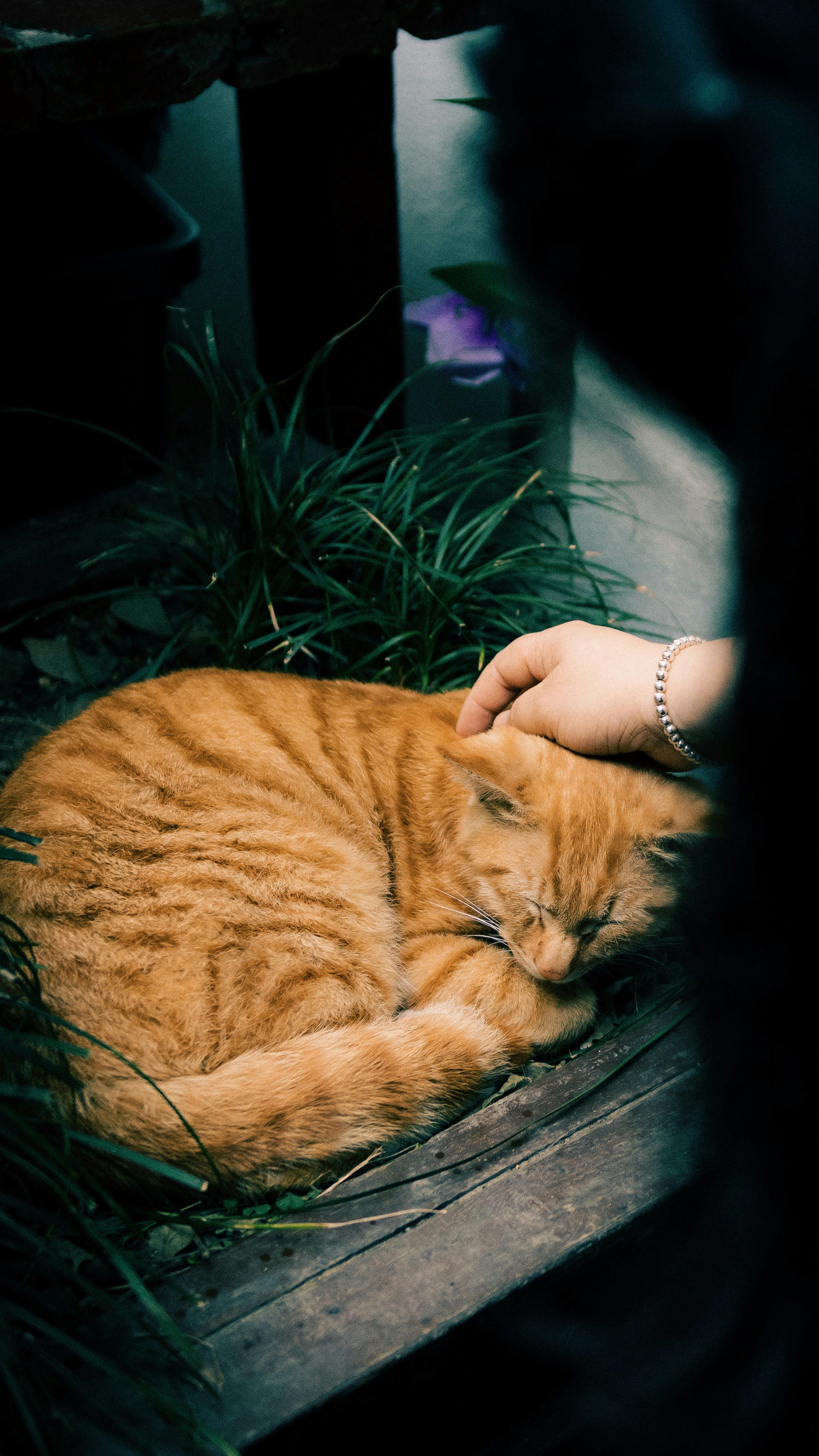 Extra Love and Patience (image credits: unsplash)