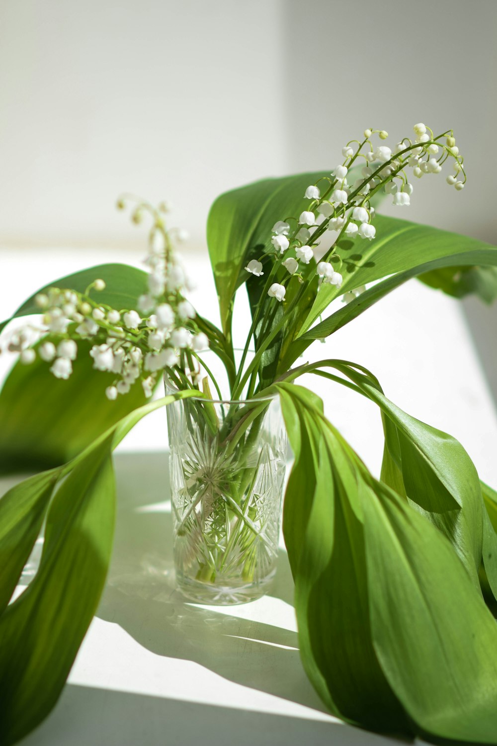 um vaso cheio de flores brancas sentado em cima de uma mesa