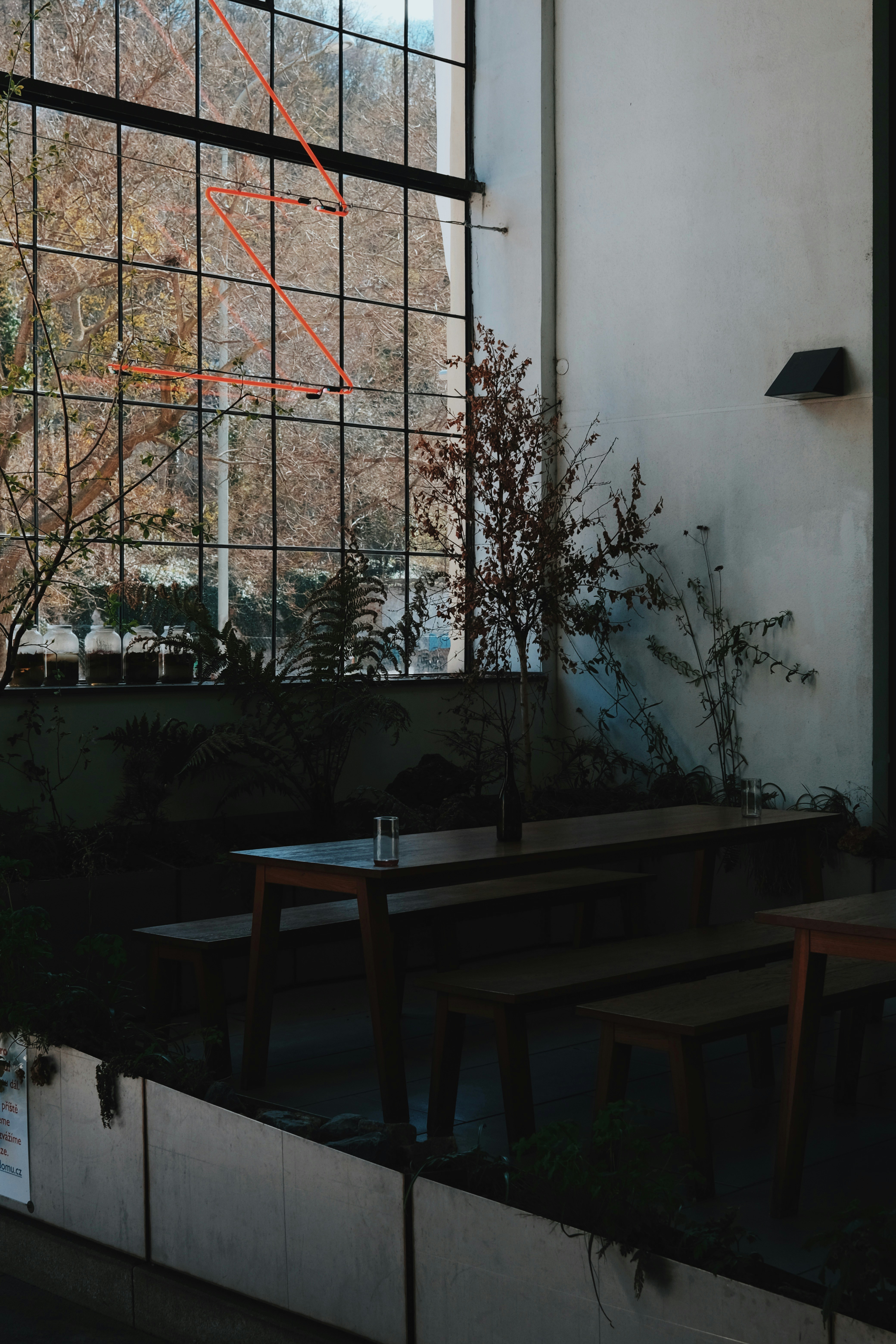 Photo by cherenkevich